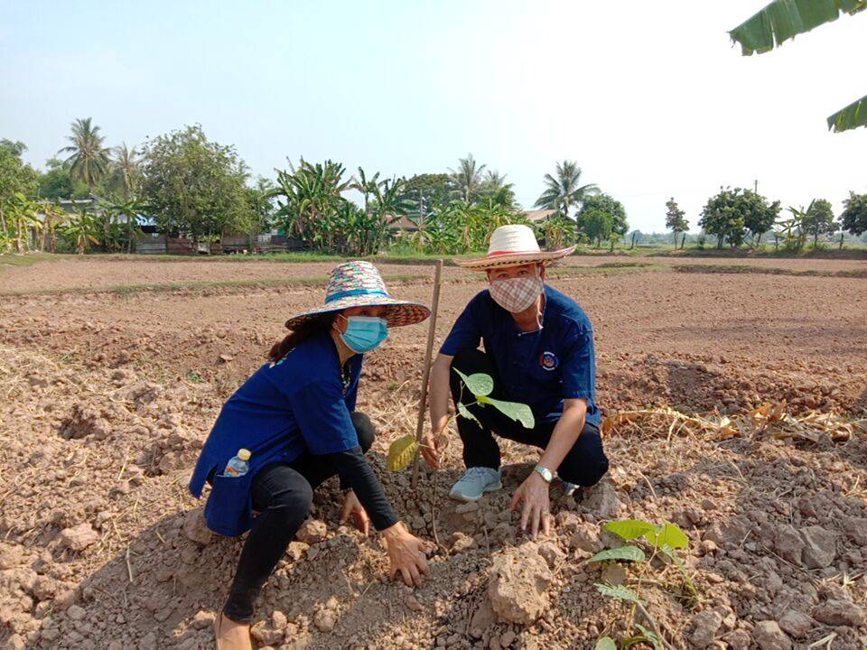 “พัฒนาการจังหวัดหนองคาย ร่วมกิจกรรมปลูกผัก และปลูกต้นไม้” โครงการปลูกป่าเฉลิมพระเกียรติ เนื่องในโอกาสมหามงคลพระราชพิธีบรมราชาภิเษกครบรอบ 1 ปี เพื่อถวายเป็นพระราชกุศลพระบาทสมเด็จพระปรเมนทรรามาธิบดีศรีสินทรมหาวชิราลงกรณ พระวชิรเกล้าเจ้าอยู่หัว