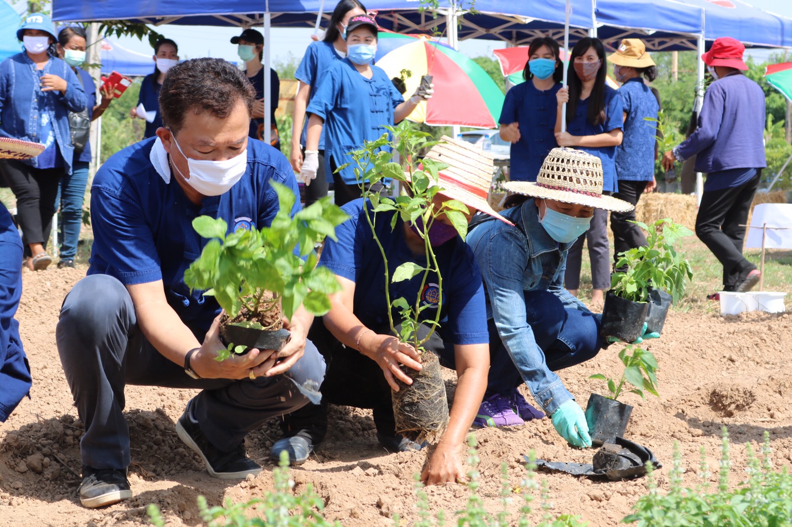 ? พช.หนองคาย ร่วมกับกองทุนพัฒนาบทบาทสตรีฯ จัดโครงการ “สตรีหนองคาย ชวนปลูกผัก ปลูกด้วยรัก แบ่งปันด้วยใจ ”