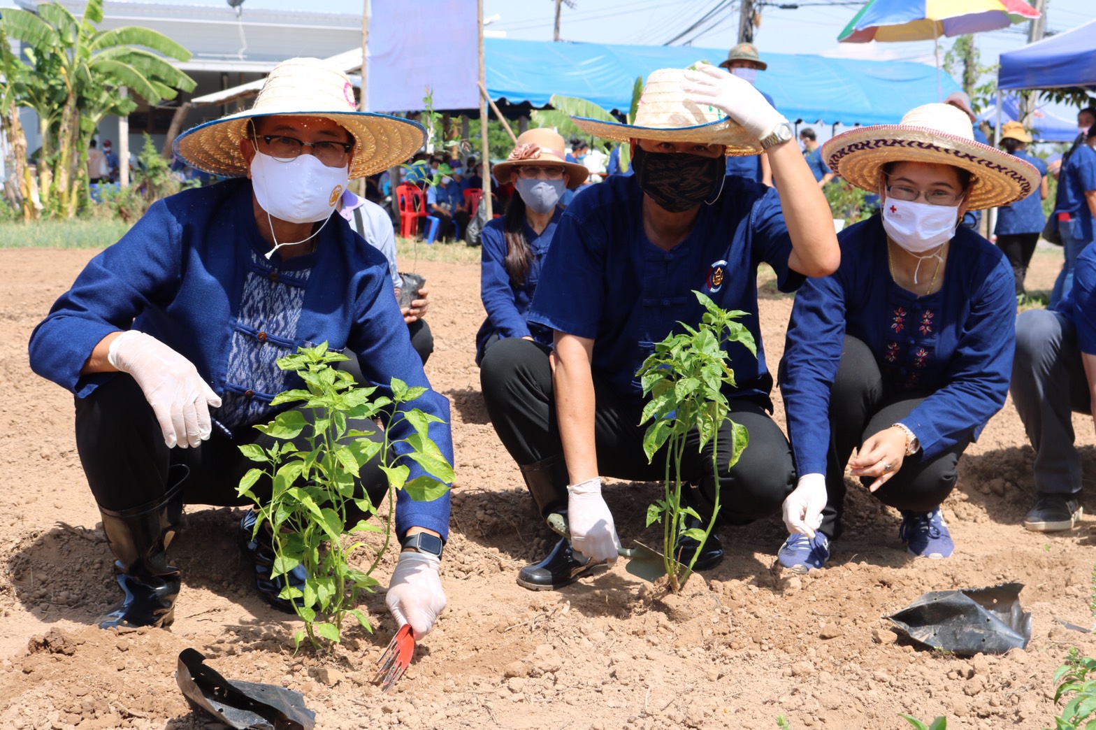 ? พช.หนองคาย ร่วมกับกองทุนพัฒนาบทบาทสตรีฯ จัดโครงการ “สตรีหนองคาย ชวนปลูกผัก ปลูกด้วยรัก แบ่งปันด้วยใจ ”