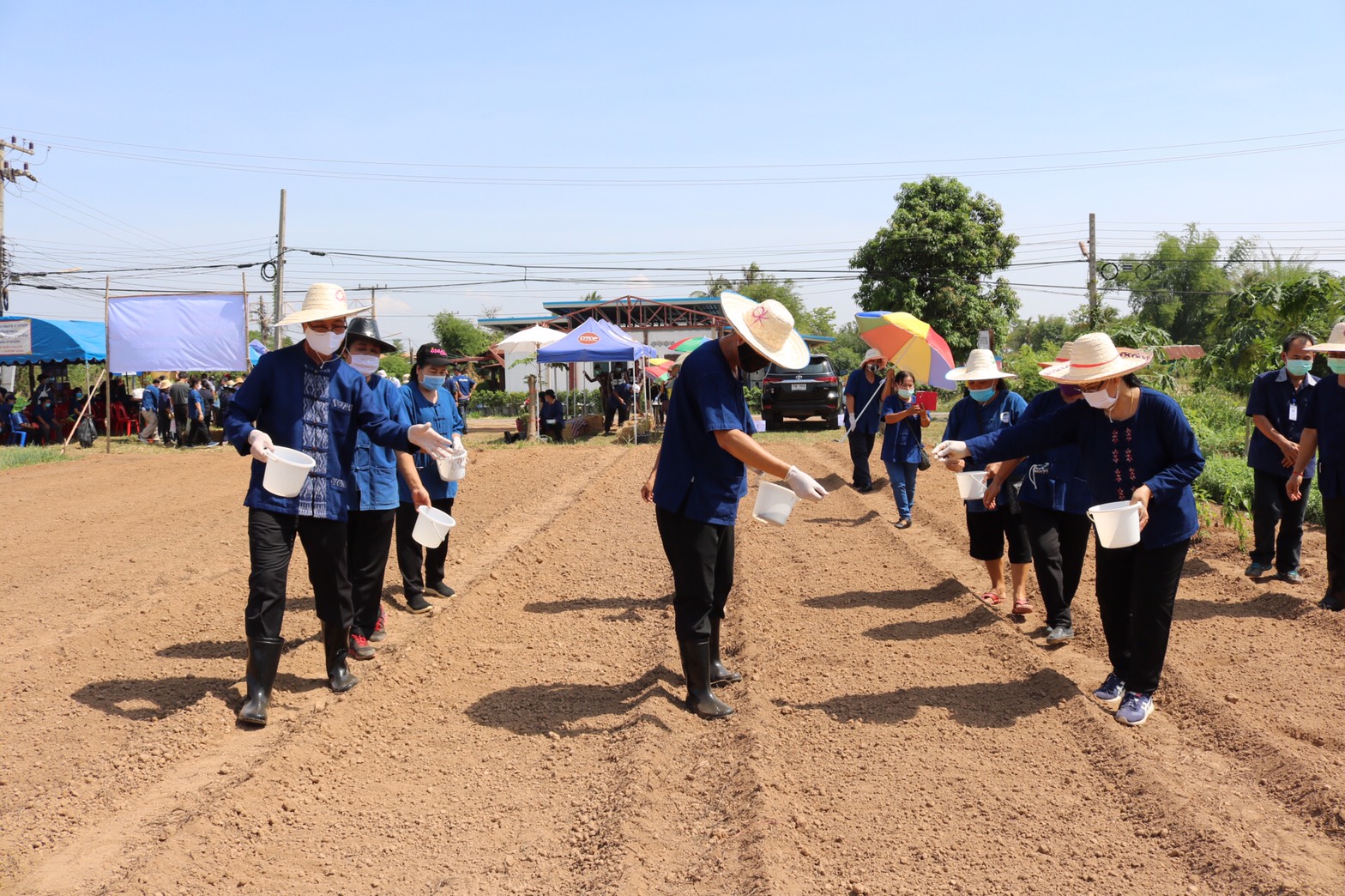 ? พช.หนองคาย ร่วมกับกองทุนพัฒนาบทบาทสตรีฯ จัดโครงการ “สตรีหนองคาย ชวนปลูกผัก ปลูกด้วยรัก แบ่งปันด้วยใจ ”