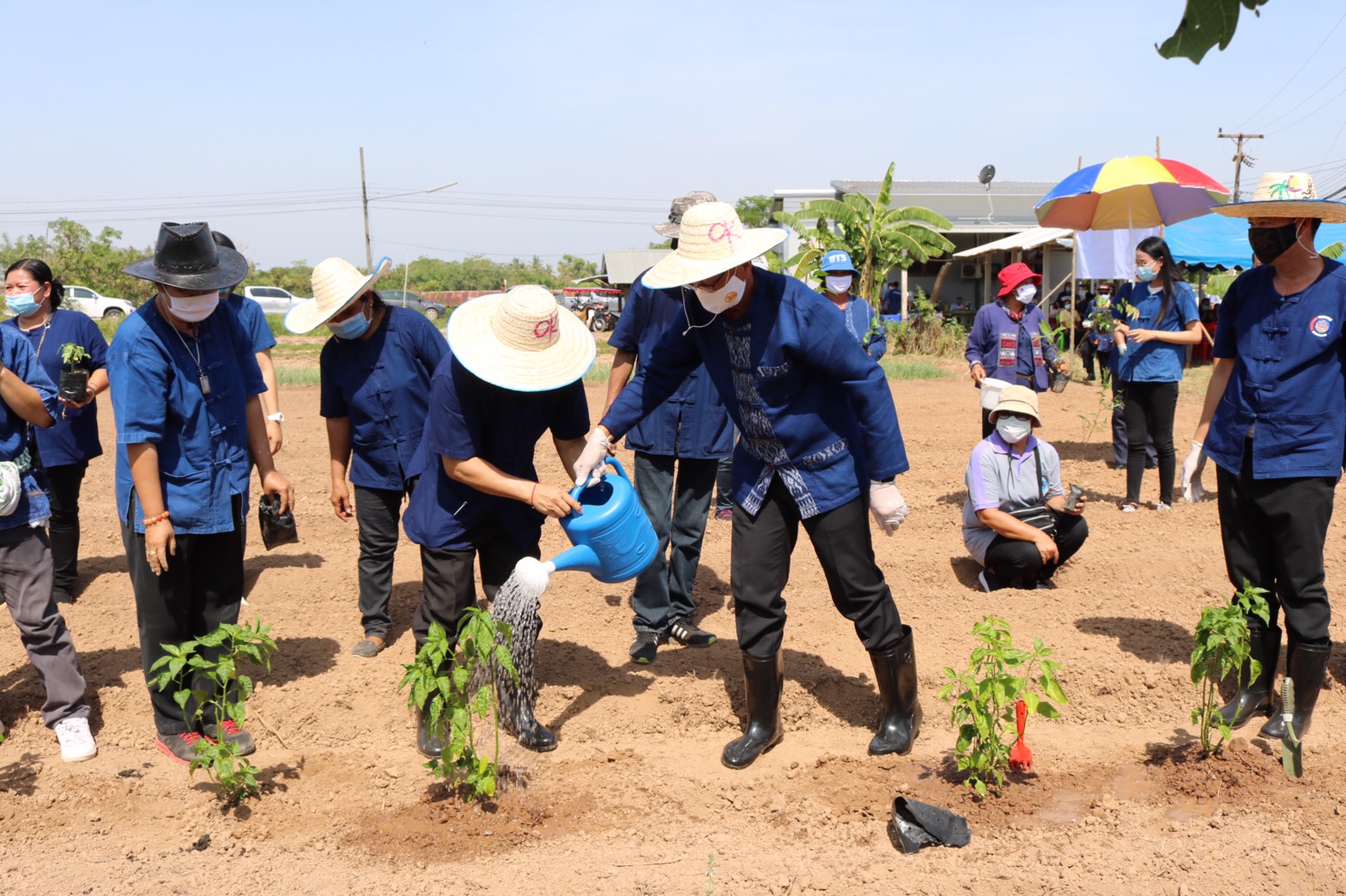 ? พช.หนองคาย ร่วมกับกองทุนพัฒนาบทบาทสตรีฯ จัดโครงการ “สตรีหนองคาย ชวนปลูกผัก ปลูกด้วยรัก แบ่งปันด้วยใจ ”