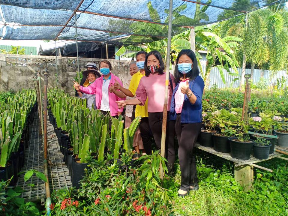 พช.หนองคาย ออกคัดเลือกคนกองทุนพัฒนาบทบาทสตรีดีเด่นระดับจังหวัด ประจำปี 2563