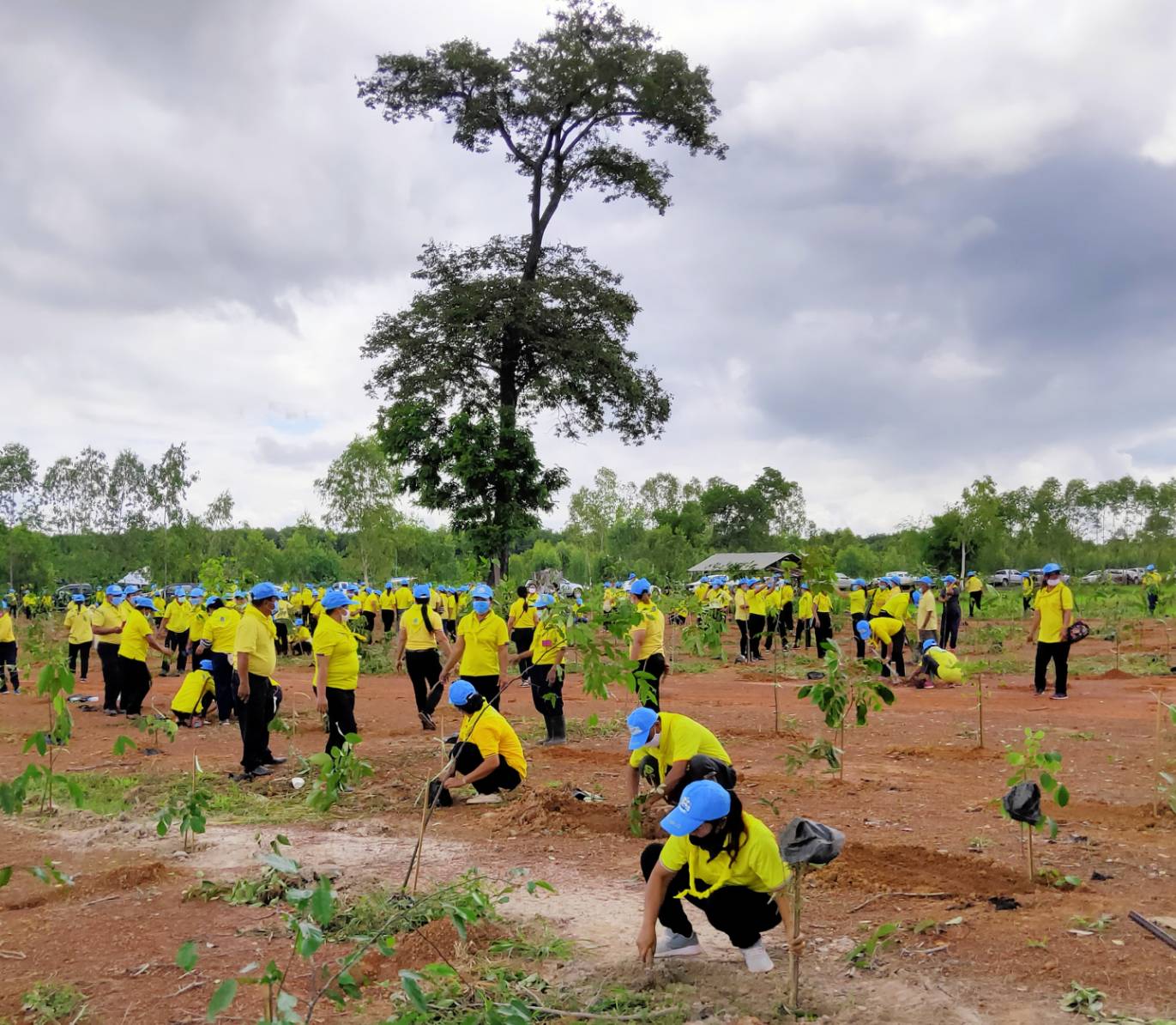 รกท.พจ.หนองคาย ร่วมโครงการรวมพลังสตรีอาสาพัฒนา ปลูกป่าเฉลิมพระเกียรติ เนื่องในโอกาสมหามงคลเฉลิมพระชนมพรรษา 42 พรรษา สมเด็จพระนางเจ้าสุทิดา พัชรสุธาพิมลลักษณ พระบรมราชินี