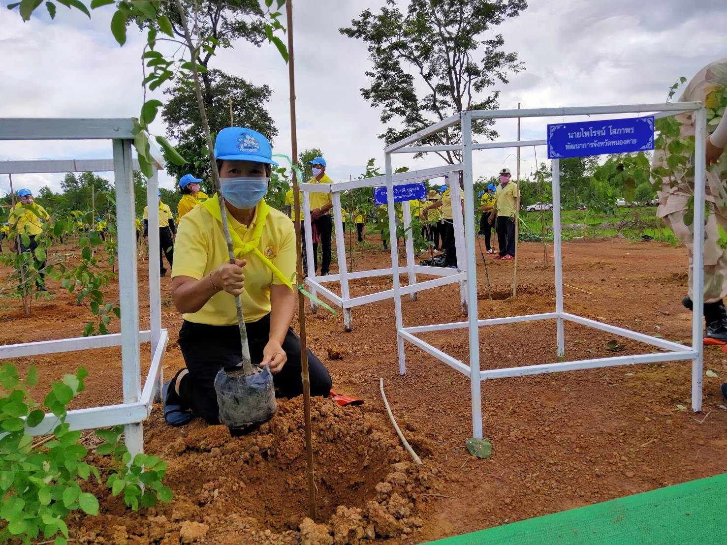 รกท.พจ.หนองคาย ร่วมโครงการรวมพลังสตรีอาสาพัฒนา ปลูกป่าเฉลิมพระเกียรติ เนื่องในโอกาสมหามงคลเฉลิมพระชนมพรรษา 42 พรรษา สมเด็จพระนางเจ้าสุทิดา พัชรสุธาพิมลลักษณ พระบรมราชินี