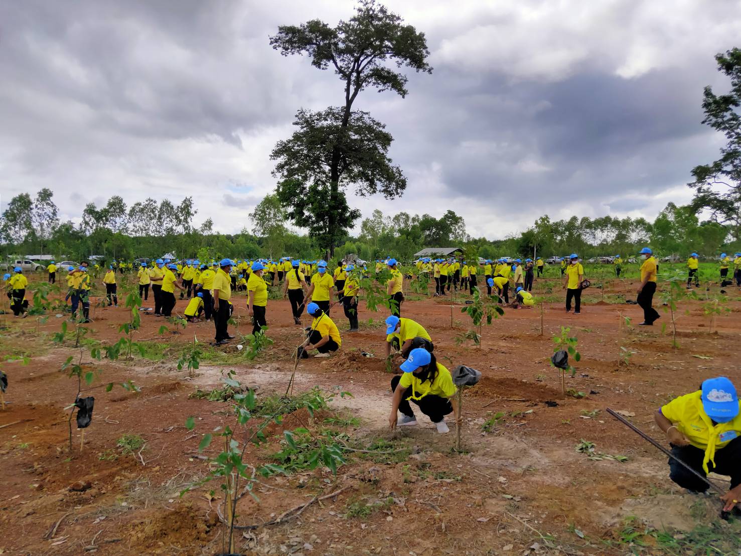 รกท.พจ.หนองคาย ร่วมโครงการรวมพลังสตรีอาสาพัฒนา ปลูกป่าเฉลิมพระเกียรติ เนื่องในโอกาสมหามงคลเฉลิมพระชนมพรรษา 42 พรรษา สมเด็จพระนางเจ้าสุทิดา พัชรสุธาพิมลลักษณ พระบรมราชินี