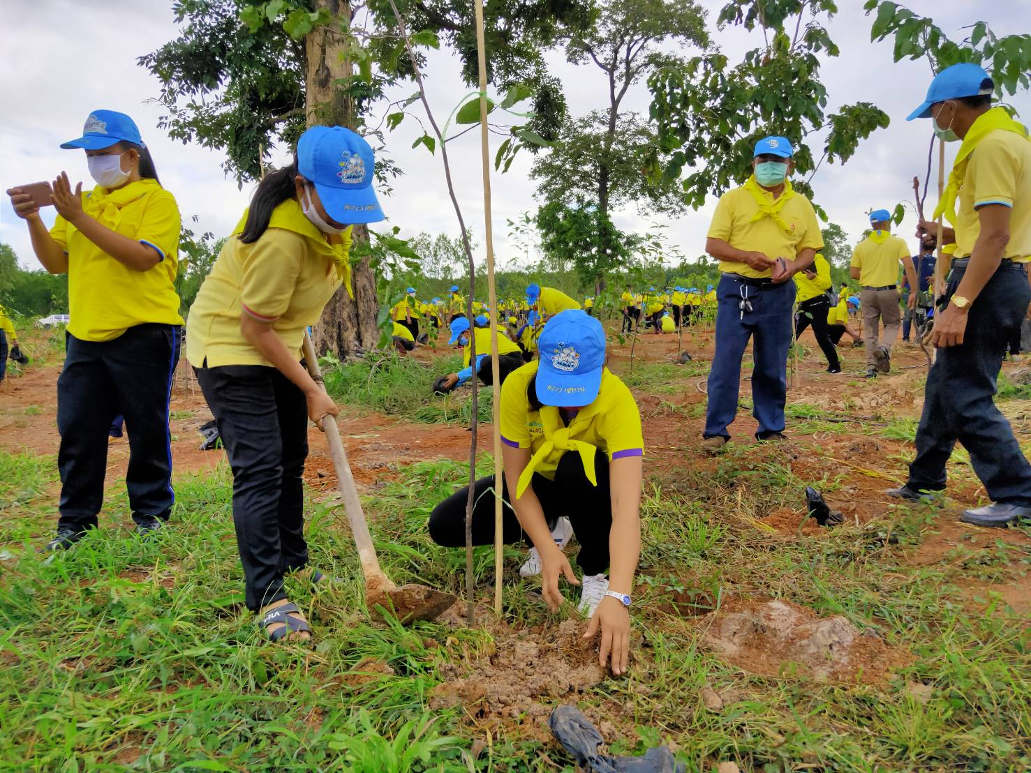 รกท.พจ.หนองคาย ร่วมโครงการรวมพลังสตรีอาสาพัฒนา ปลูกป่าเฉลิมพระเกียรติ เนื่องในโอกาสมหามงคลเฉลิมพระชนมพรรษา 42 พรรษา สมเด็จพระนางเจ้าสุทิดา พัชรสุธาพิมลลักษณ พระบรมราชินี