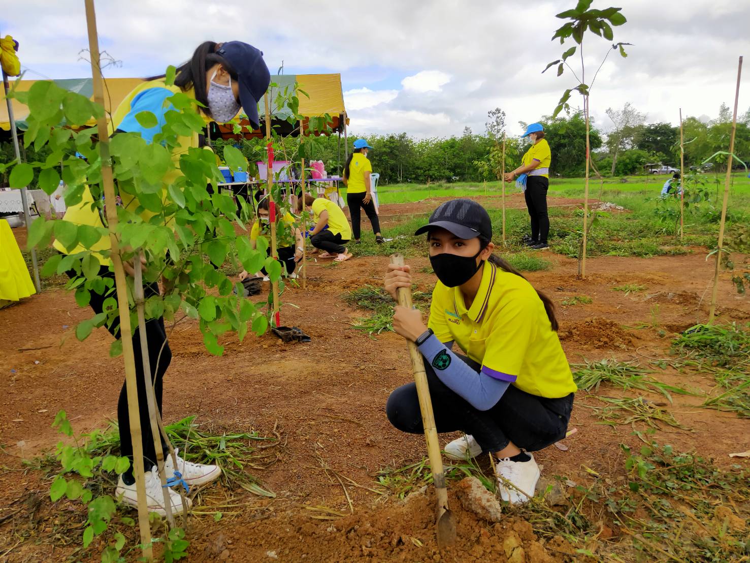 รกท.พจ.หนองคาย ร่วมโครงการรวมพลังสตรีอาสาพัฒนา ปลูกป่าเฉลิมพระเกียรติ เนื่องในโอกาสมหามงคลเฉลิมพระชนมพรรษา 42 พรรษา สมเด็จพระนางเจ้าสุทิดา พัชรสุธาพิมลลักษณ พระบรมราชินี