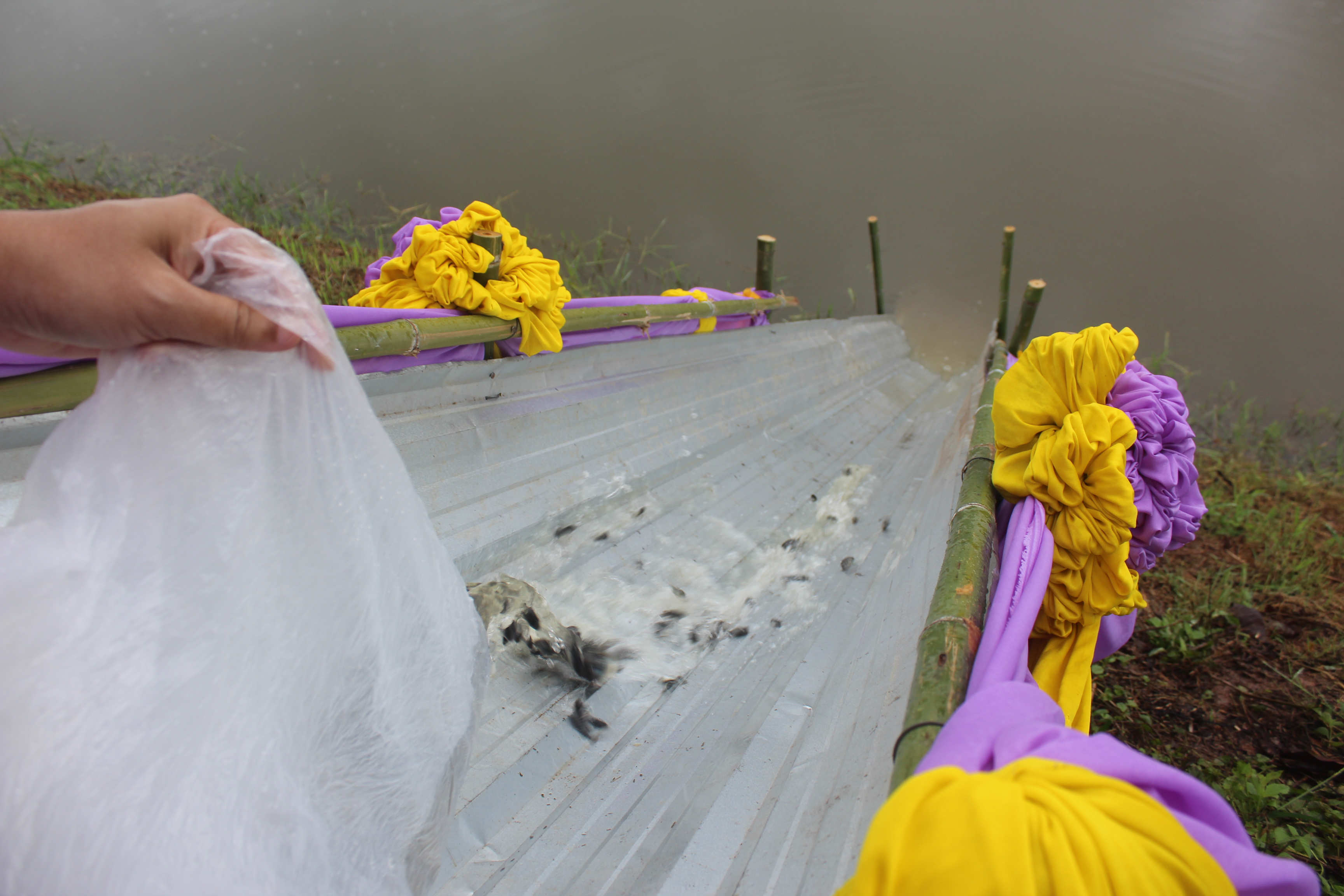 จังหวัดหนองคาย ดำเนินโครงการ “รวมพลังสตรีอาสาพัฒนา ปลูกป่าเฉลิมพระเกียรติ เนื่องในโอกาส วันเฉลิมพระชนมพรรษา สมเด็จพระนางเจ้าสุทิดา พัชรสุธาพิมลลักษณ พระบรมราชินี 3 มิถุนายน 2563 “