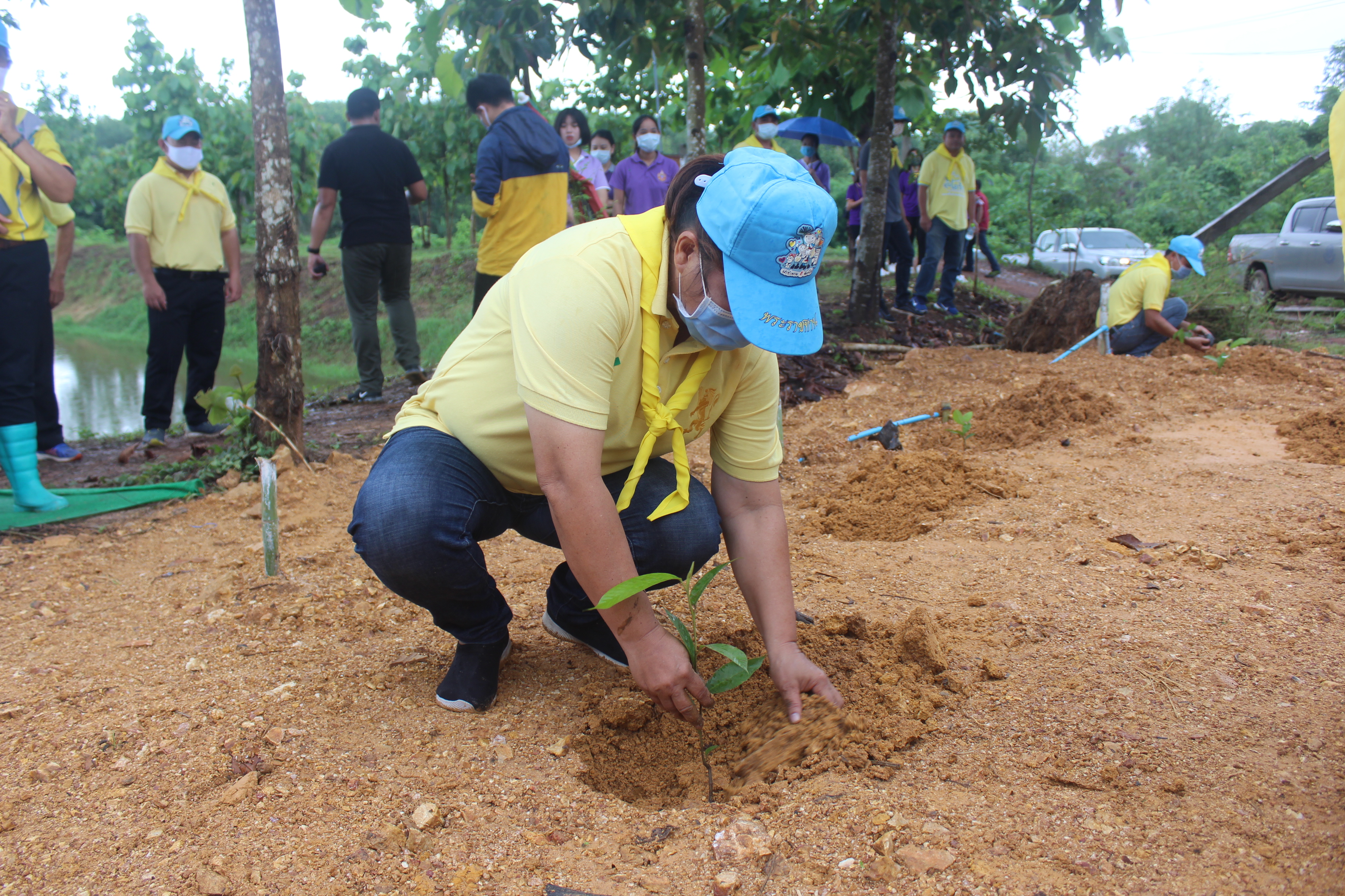 จังหวัดหนองคาย ดำเนินโครงการ “รวมพลังสตรีอาสาพัฒนา ปลูกป่าเฉลิมพระเกียรติ เนื่องในโอกาส วันเฉลิมพระชนมพรรษา สมเด็จพระนางเจ้าสุทิดา พัชรสุธาพิมลลักษณ พระบรมราชินี 3 มิถุนายน 2563 “