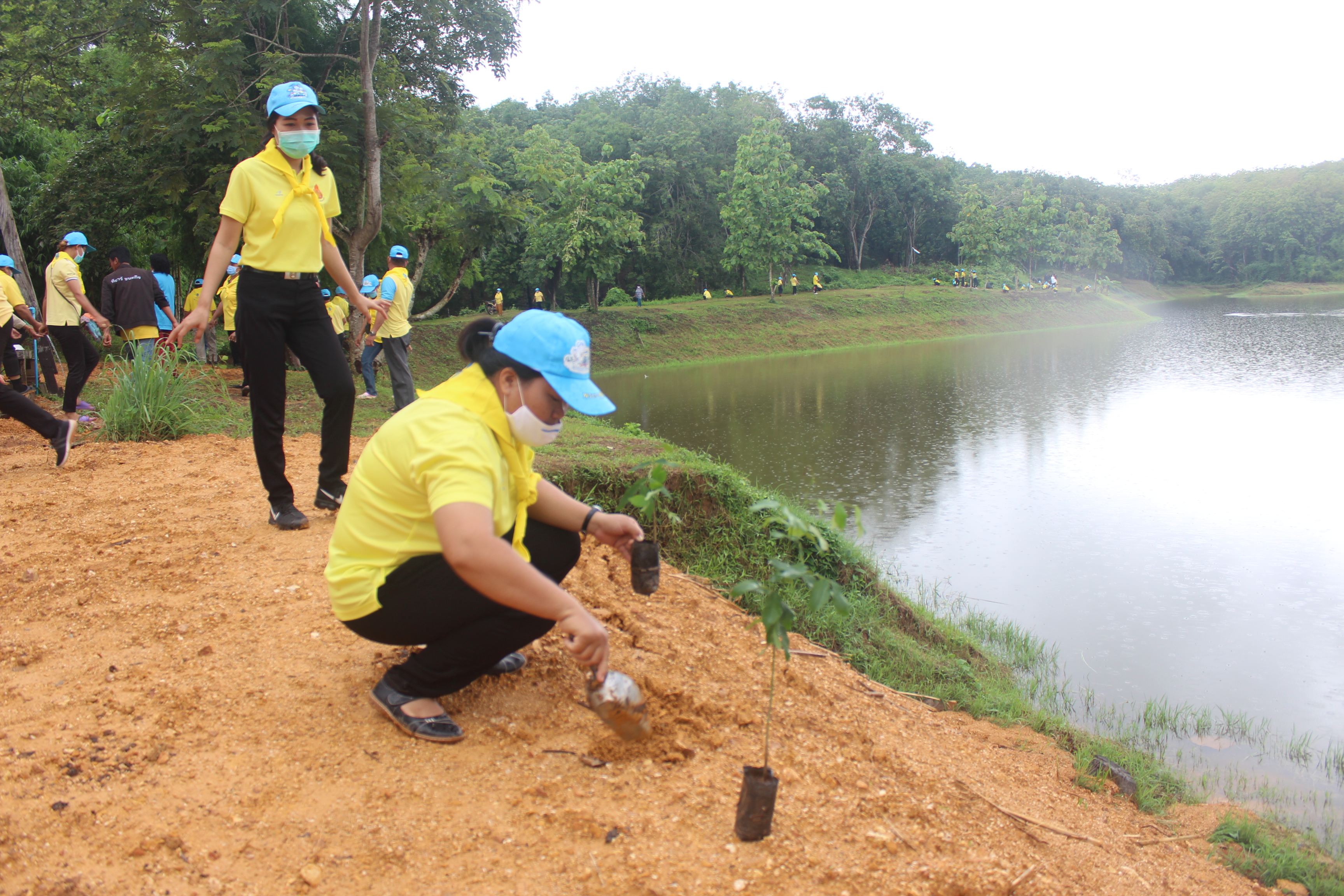 จังหวัดหนองคาย ดำเนินโครงการ “รวมพลังสตรีอาสาพัฒนา ปลูกป่าเฉลิมพระเกียรติ เนื่องในโอกาส วันเฉลิมพระชนมพรรษา สมเด็จพระนางเจ้าสุทิดา พัชรสุธาพิมลลักษณ พระบรมราชินี 3 มิถุนายน 2563 “