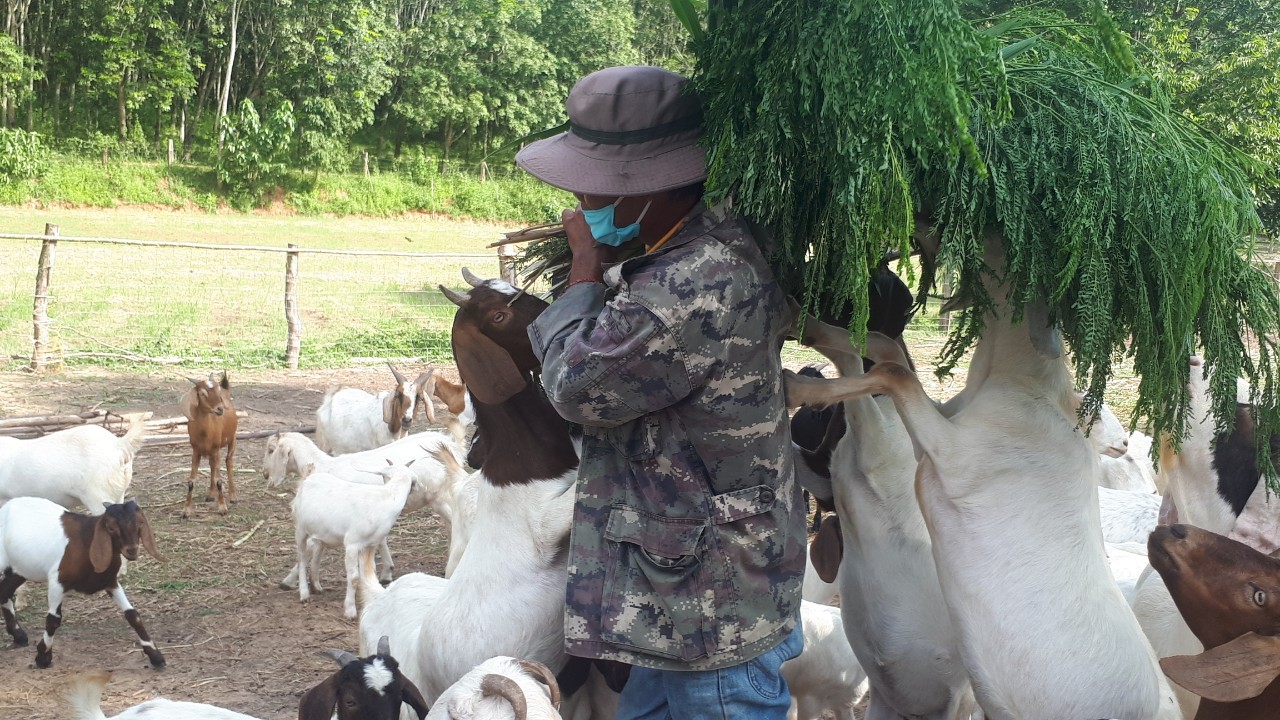 จ.หนองคาย คัดสรรกิจกรรมพัฒนาชุมชนดีเด่นระดับจังหวัด ประจำปี 2563