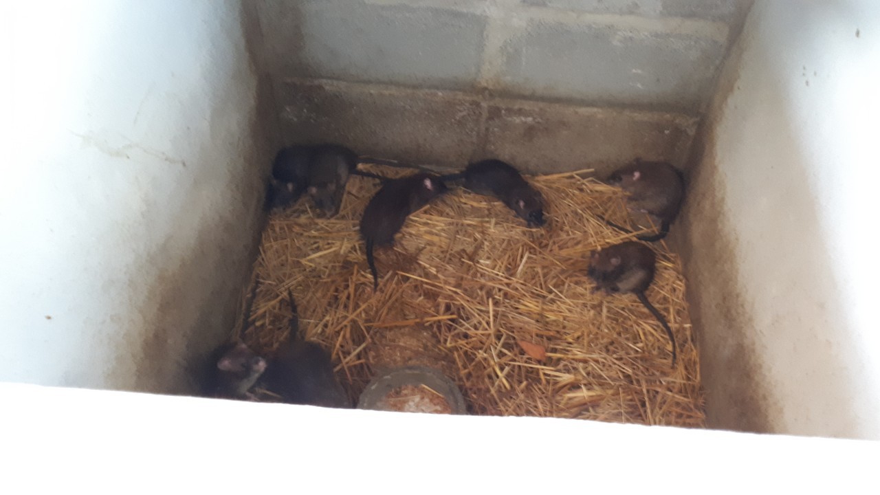 จ.หนองคาย คัดสรรกิจกรรมพัฒนาชุมชนดีเด่นระดับจังหวัด วันที่ 2