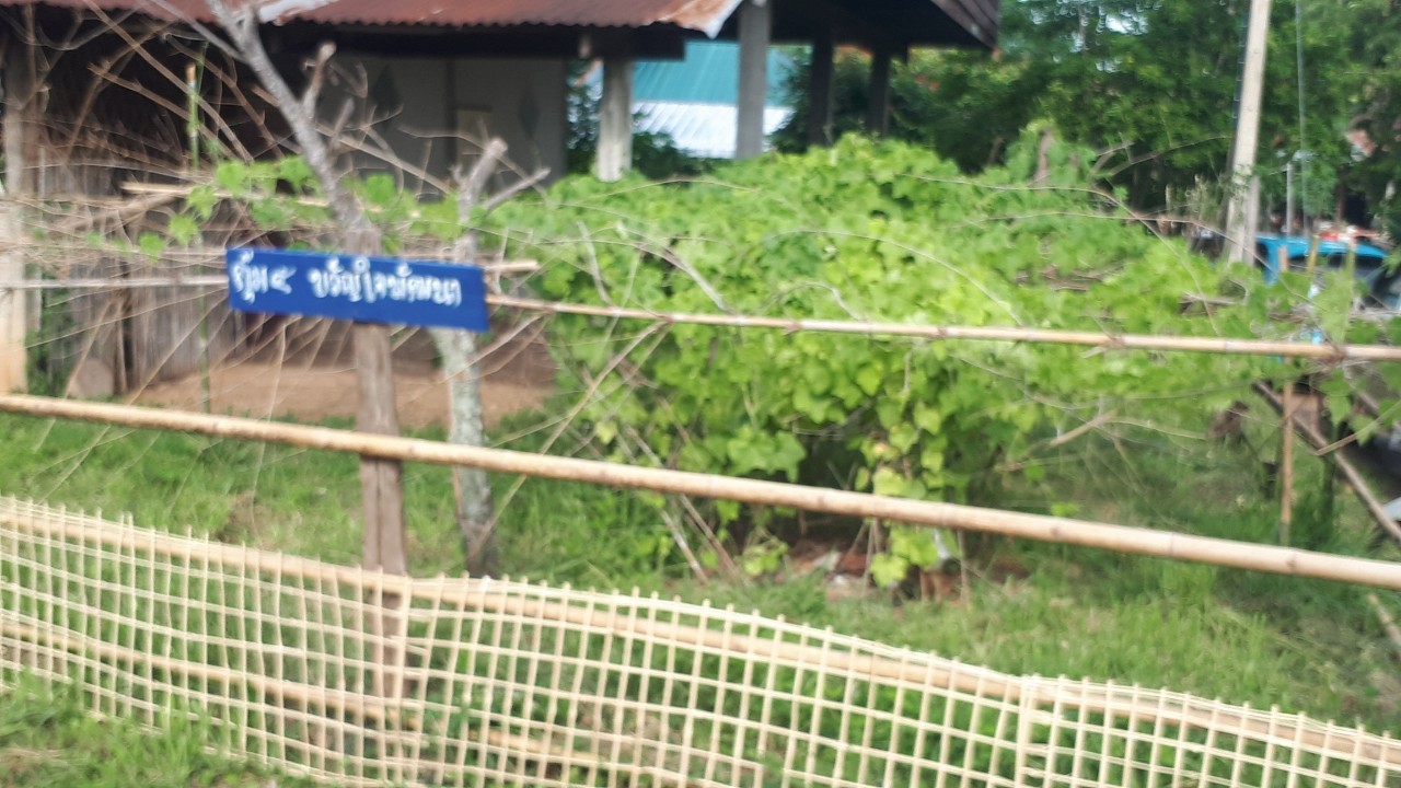 จ.หนองคาย คัดสรรกิจกรรมพัฒนาชุมชนดีเด่นระดับจังหวัด วันที่สอง