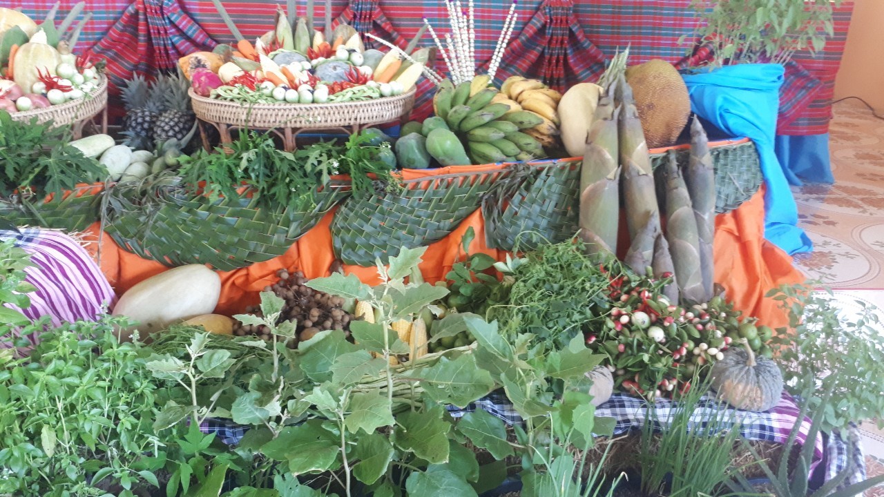 จ.หนองคาย คัดสรรกิจกรรมพัฒนาชุมชนดีเด่นระดับจังหวัด วันที่สอง