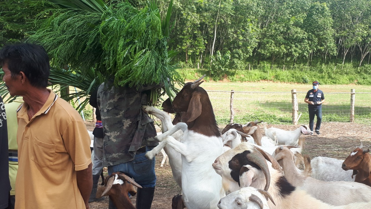 จ.หนองคาย คัดสรรกิจกรรมพัฒนาชุมชนดีเด่นระดับจังหวัด ประจำปี 2563