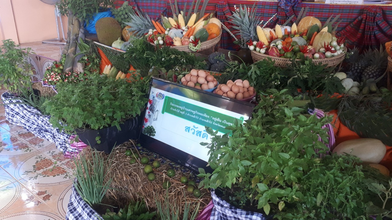 จ.หนองคาย คัดสรรกิจกรรมพัฒนาชุมชนดีเด่นระดับจังหวัด วันที่สอง