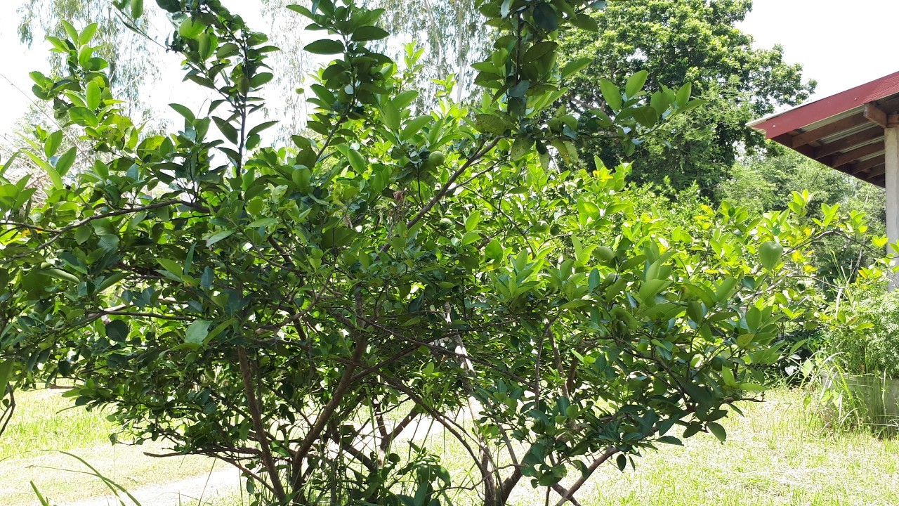 จ.หนองคาย คัดสรรกิจกรรมพัฒนาชุมชนดีเด่นระดับจังหวัด วันที่ 2