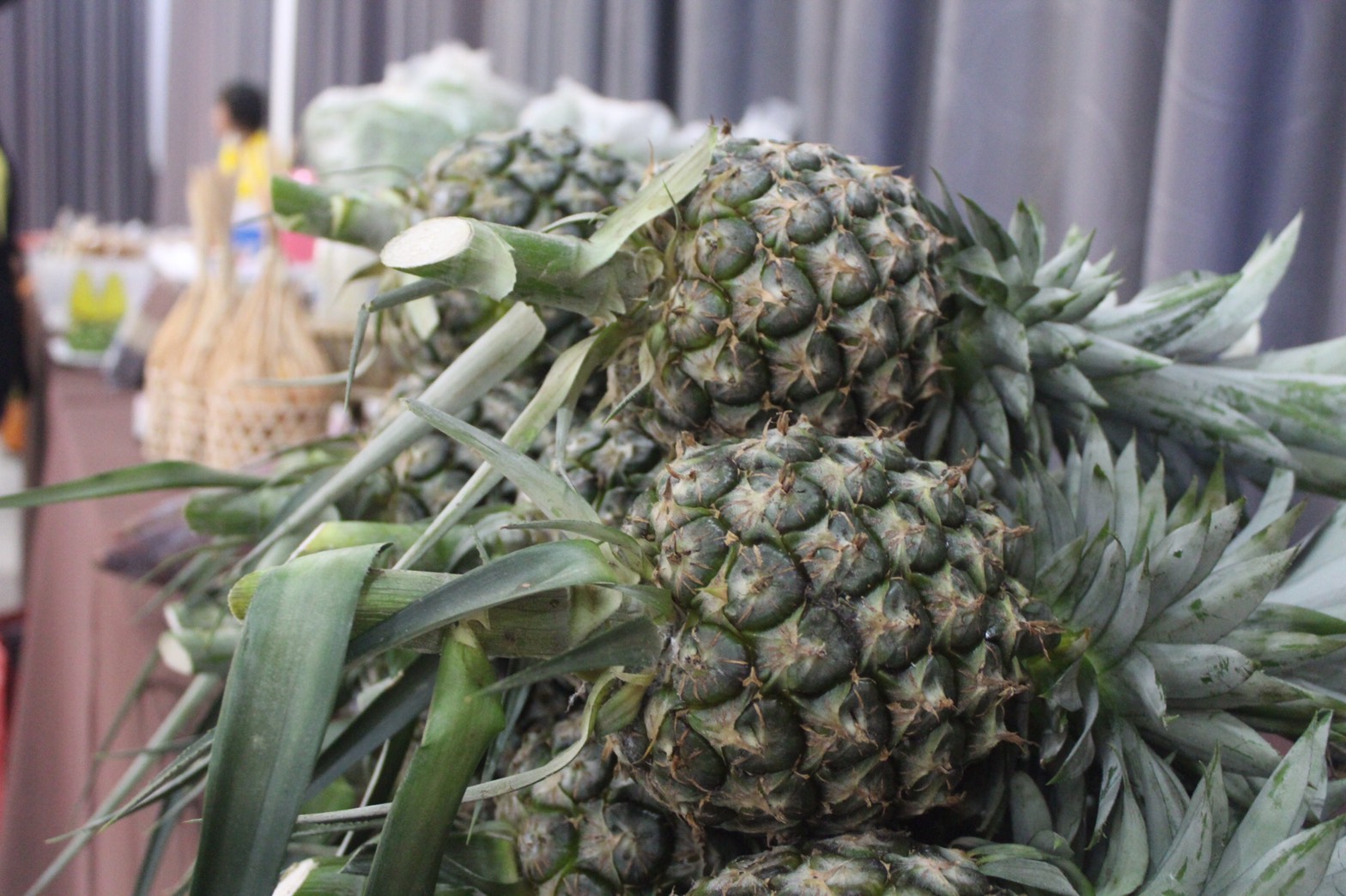 ⚜️ พิธีลงนามโครงการสร้างรายได้จากการจำหน่ายสินค้าด้วยกลไกประชารัฐ”