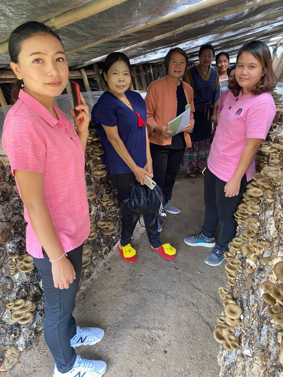 นายไพโรจน์ โสภาพร พัฒนาการจังหวัดหนองคาย มอบหมายให้นางสาวบุศราวรรณ เรืองช่อ ผู้อำนวยการกลุ่มงานสารสนเทศการพัฒนาชุมชนพร้อมด้วยคณะอนุกรรมการบริหารกองทุนพัฒนาบทบาทสตรีระดับจังหวัดได้ออกติดตามลงพื้นที่เพื่อประเมินวิเคราะห์กลุ่มอาชีพสมาชิกกองทุนพัฒนาบทบาทสตรี