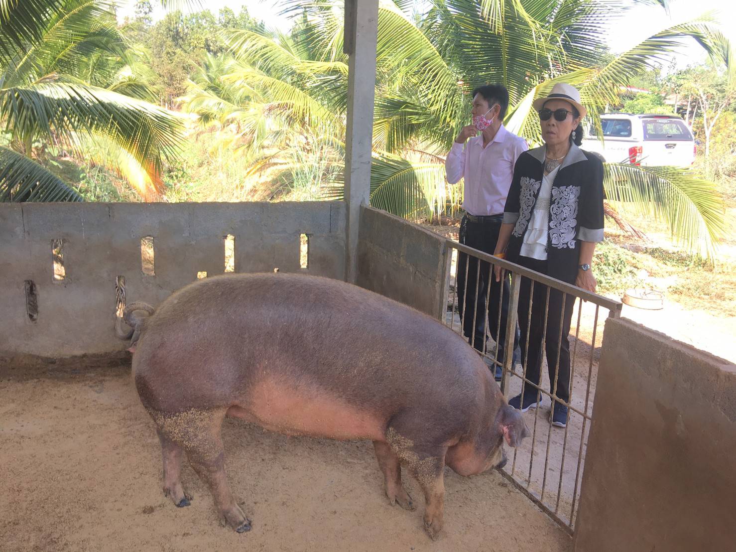 นายไพโรจน์ โสภาพร พัฒนาการจังหวัดหนองคาย มอบหมายให้นางสาวบุศราวรรณ เรืองช่อ ผู้อำนวยการกลุ่มงานสารสนเทศการพัฒนาชุมชนพร้อมด้วยคณะอนุกรรมการบริหารกองทุนพัฒนาบทบาทสตรีระดับจังหวัดได้ออกติดตามลงพื้นที่เพื่อประเมินวิเคราะห์กลุ่มอาชีพสมาชิกกองทุนพัฒนาบทบาทสตรี