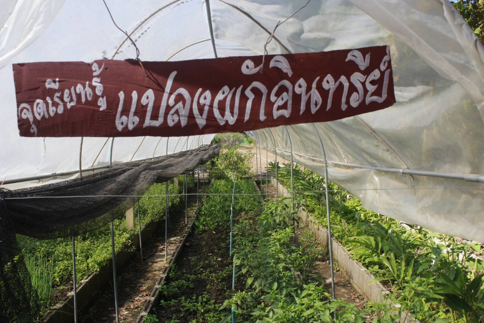 พช.หนองคาย ร่วมโครงการผู้ว่าพาไปยาม ครั้งที่ 2/2564 “เกษตรกรมีส่วนร่วม รับรองการผลิตปลอดภัย (PGS) ขับเคลื่อนเกษตรกรรมยั่งยืน”