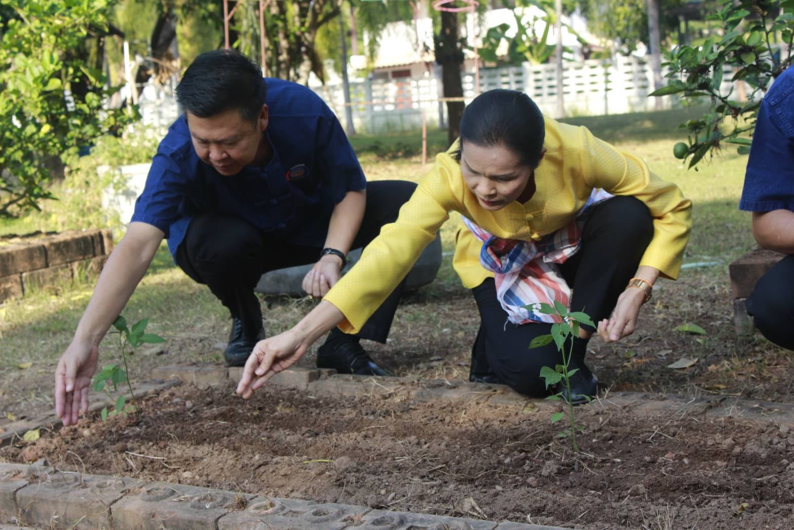 นายประเสริฐ ลือชาธนานนท์ ผู้ว่าราชการจังหวัดหนองคาย เป็นประธานในกิจกรรม “บ้านนี้มีรัก ปลูกผักกินเอง ” ปลูกผักสวนครัวเพื่อสร้างความมั่นคงด้านอาหาร