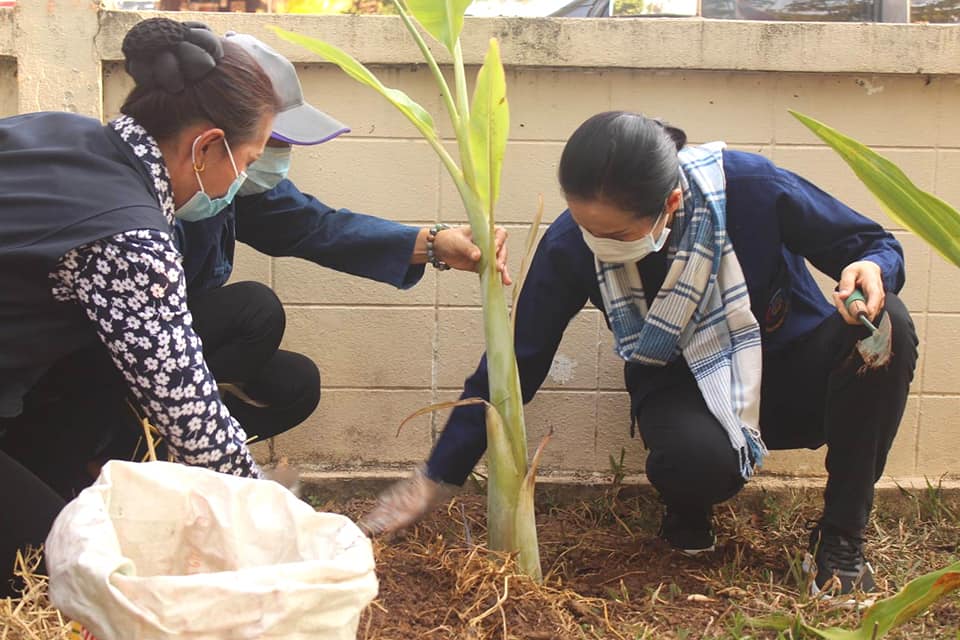 พช.หนองคาย ร่วมกิจกรรม”การน้อมนำแนวพระราชดำริของสมเด็จพระกนิษฐาธิราชเจ้า กรมสมเด็จพระเทพรัตนราชสุดาฯ สยามบรมราชกุมารี สร้างความมั่นคงทางอาหารสู่ปฏิบัติการ 90 วัน ปลูกผักสวนครัวเพื่อสร้างความมั่นคงทางอาหาร”