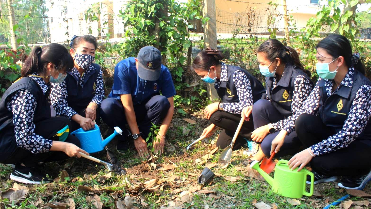 พช.หนองคาย ร่วมกิจกรรม”การน้อมนำแนวพระราชดำริของสมเด็จพระกนิษฐาธิราชเจ้า กรมสมเด็จพระเทพรัตนราชสุดาฯ สยามบรมราชกุมารี สร้างความมั่นคงทางอาหารสู่ปฏิบัติการ 90 วัน ปลูกผักสวนครัวเพื่อสร้างความมั่นคงทางอาหาร”