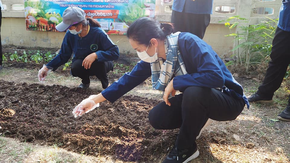 พช.หนองคาย ร่วมกิจกรรม”การน้อมนำแนวพระราชดำริของสมเด็จพระกนิษฐาธิราชเจ้า กรมสมเด็จพระเทพรัตนราชสุดาฯ สยามบรมราชกุมารี สร้างความมั่นคงทางอาหารสู่ปฏิบัติการ 90 วัน ปลูกผักสวนครัวเพื่อสร้างความมั่นคงทางอาหาร”