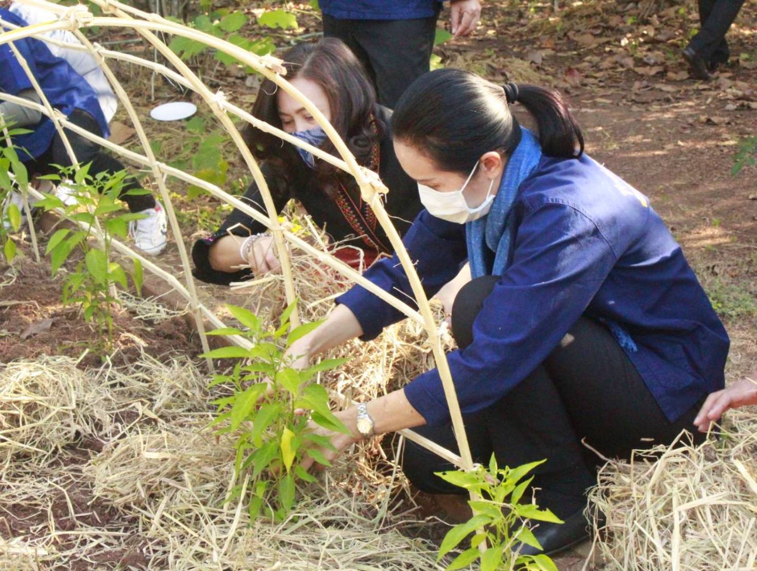 นายประเสริฐ ลือชาธนานนท์ ผู้ว่าราชการจังหวัดหนองคาย เป็นประธานในกิจกรรม “การน้อมนำแนวพระราชดำริของสมเด็จพระกนิษฐาธิราชเจ้ากรมสมเด็จพระเทพรัตนราชสุดาฯ สยามบรมราชกุมารี สร้างความมั่นคงทางอาหาร สู่ปฏิบัติการ 90 วัน ปลูกผักสวนครัว เพื่อสร้างความมั่นคงทางอาหาร รอบ 2