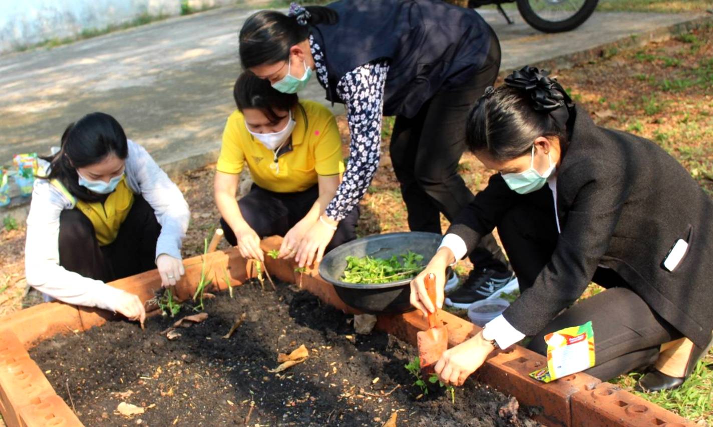 พช.หนองคาย ร่วมกิจกรรม”การน้อมนำแนวพระราชดำริของสมเด็จพระกนิษฐาธิราชเจ้า กรมสมเด็จพระเทพรัตนราชสุดาฯ สยามบรมราชกุมารี สร้างความมั่นคงทางอาหารสู่ปฏิบัติการ 90 วัน ปลูกผักสวนครัวเพื่อสร้างความมั่นคงทางอาหาร”