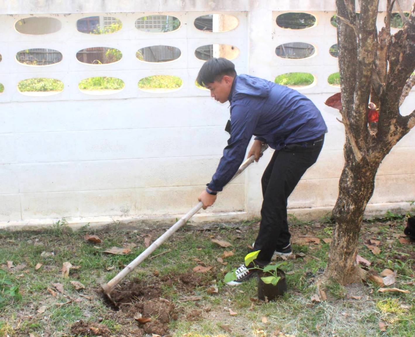 พช.หนองคาย ร่วมกิจกรรม”การน้อมนำแนวพระราชดำริของสมเด็จพระกนิษฐาธิราชเจ้า กรมสมเด็จพระเทพรัตนราชสุดาฯ สยามบรมราชกุมารี สร้างความมั่นคงทางอาหารสู่ปฏิบัติการ 90 วัน ปลูกผักสวนครัวเพื่อสร้างความมั่นคงทางอาหาร”