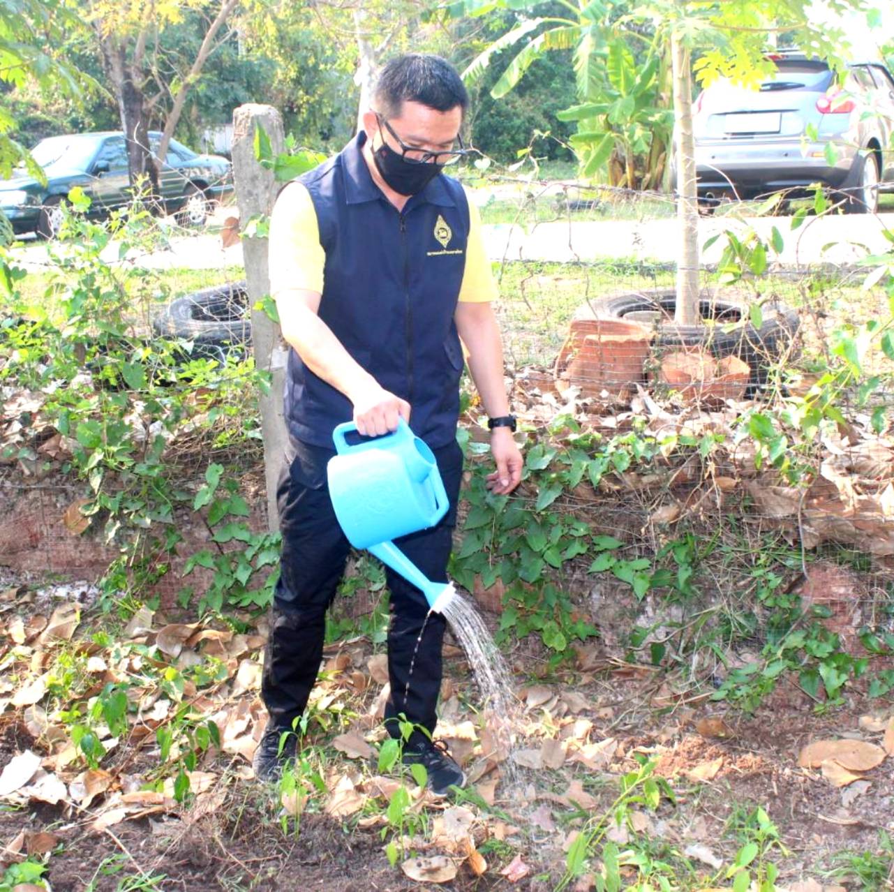 พช.หนองคาย ร่วมกิจกรรม”การน้อมนำแนวพระราชดำริของสมเด็จพระกนิษฐาธิราชเจ้า กรมสมเด็จพระเทพรัตนราชสุดาฯ สยามบรมราชกุมารี สร้างความมั่นคงทางอาหารสู่ปฏิบัติการ 90 วัน ปลูกผักสวนครัวเพื่อสร้างความมั่นคงทางอาหาร”