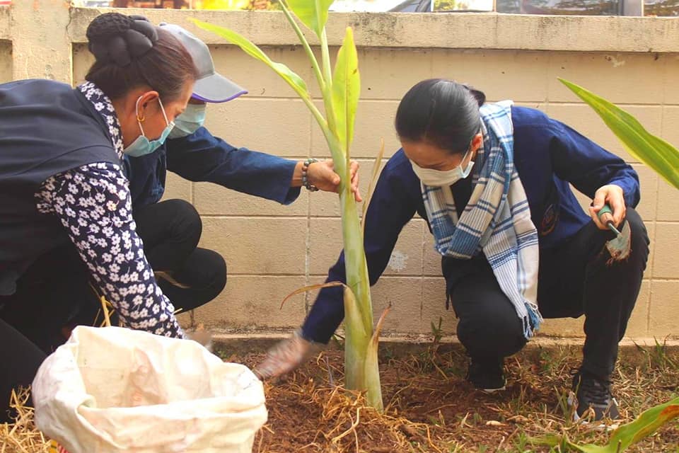 พช.หนองคาย ร่วมกิจกรรม”การน้อมนำแนวพระราชดำริของสมเด็จพระกนิษฐาธิราชเจ้า กรมสมเด็จพระเทพรัตนราชสุดาฯ สยามบรมราชกุมารี สร้างความมั่นคงทางอาหารสู่ปฏิบัติการ 90 วัน ปลูกผักสวนครัวเพื่อสร้างความมั่นคงทางอาหาร”
