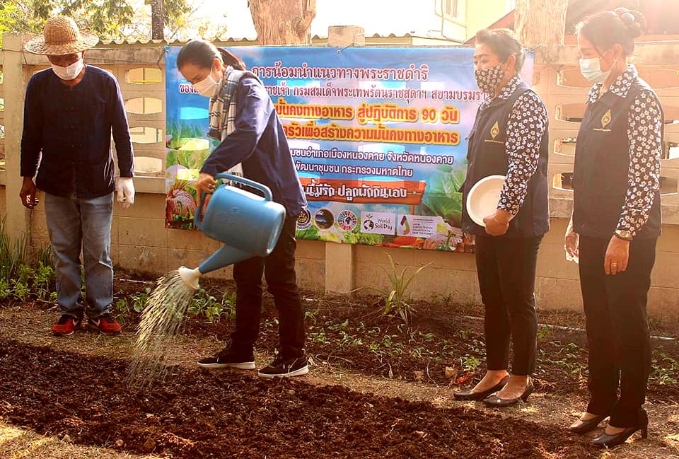 พช.หนองคาย ร่วมกิจกรรม”การน้อมนำแนวพระราชดำริของสมเด็จพระกนิษฐาธิราชเจ้า กรมสมเด็จพระเทพรัตนราชสุดาฯ สยามบรมราชกุมารี สร้างความมั่นคงทางอาหารสู่ปฏิบัติการ 90 วัน ปลูกผักสวนครัวเพื่อสร้างความมั่นคงทางอาหาร”