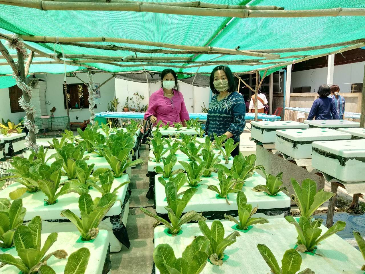 พช.หนองคาย พร้อม คณะกรรมการคัดเลือกคนกองทุนพัฒนาบทบาทสตรีดีเด่น ระดับจังหวัด ประจำปี 2564 ลงพื้นที่เพื่อคัดสรรคนกองทุนพัฒนาบทบาทสตรีดีเด่น ระดับจังหวัด ในพื้นที่ อำเภอโพธิ์ตาก และ อำเภอท่าบ่อ จังหวัดหนองคาย