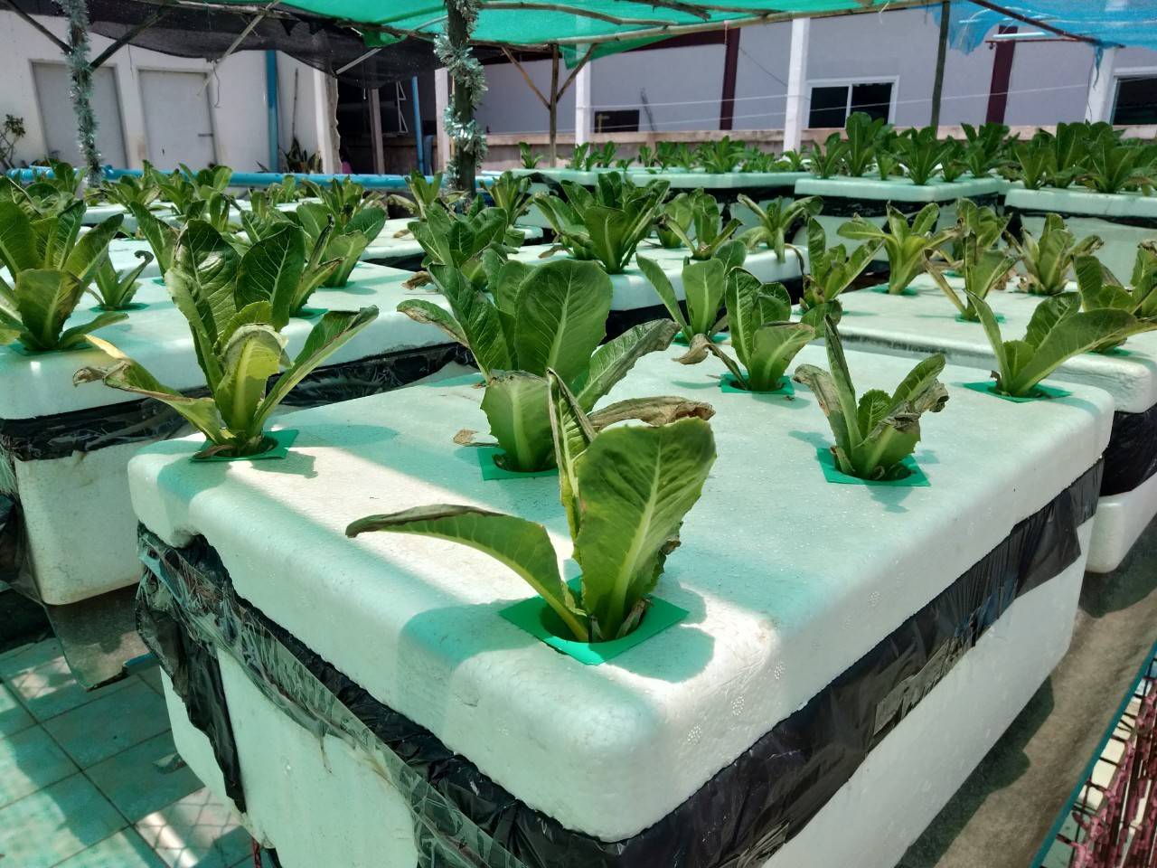 พช.หนองคาย พร้อม คณะกรรมการคัดเลือกคนกองทุนพัฒนาบทบาทสตรีดีเด่น ระดับจังหวัด ประจำปี 2564 ลงพื้นที่เพื่อคัดสรรคนกองทุนพัฒนาบทบาทสตรีดีเด่น ระดับจังหวัด ในพื้นที่ อำเภอโพธิ์ตาก และ อำเภอท่าบ่อ จังหวัดหนองคาย