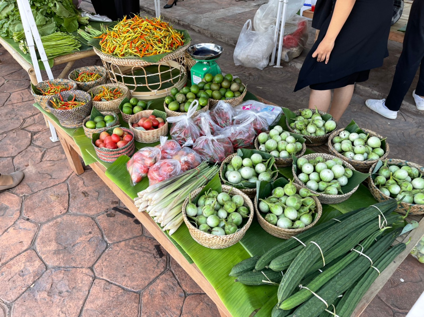 จังหวัดหนองคาย จัดตลาดชุมชน คนหนองคาย ร่วมใจฝ่าวิกฤตไปด้วยกัน