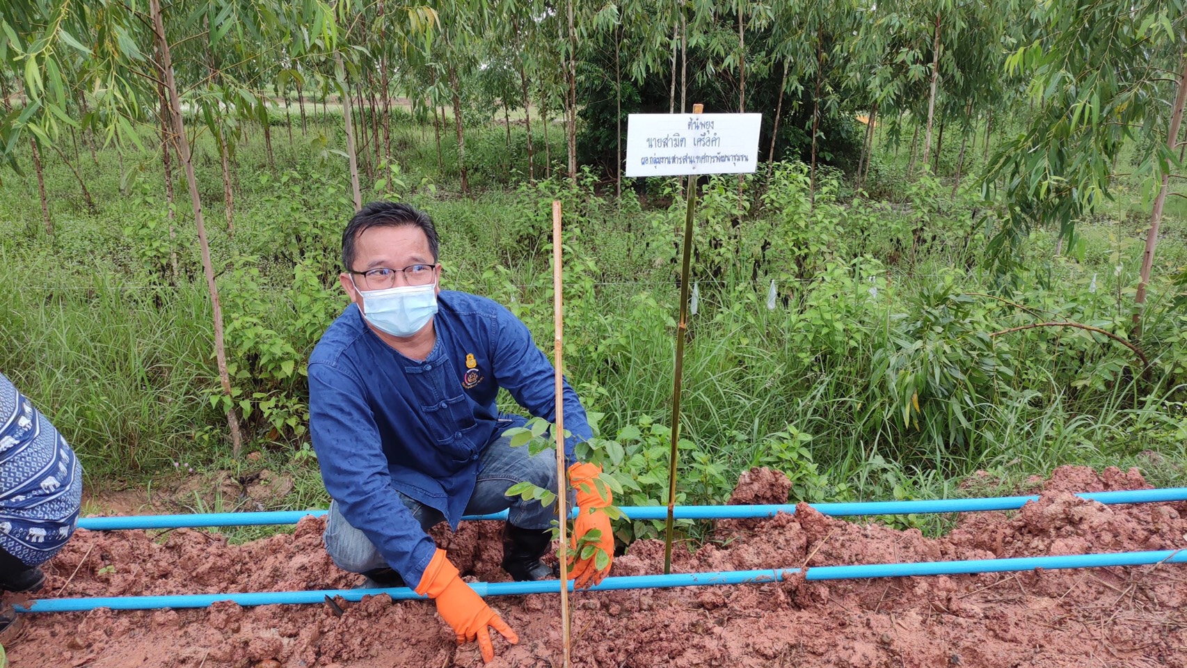 พช.หนองคาย ดำเนินกิจกรรมเอามื้อสามัคคี “โคก หนอง นา โมเดล”