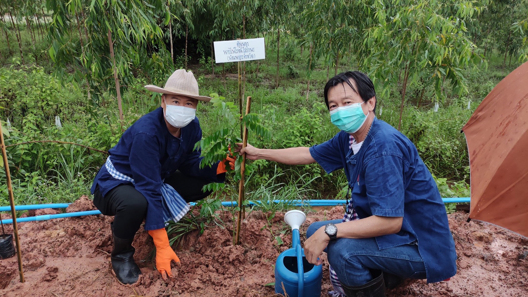 พช.หนองคาย ดำเนินกิจกรรมเอามื้อสามัคคี “โคก หนอง นา โมเดล”