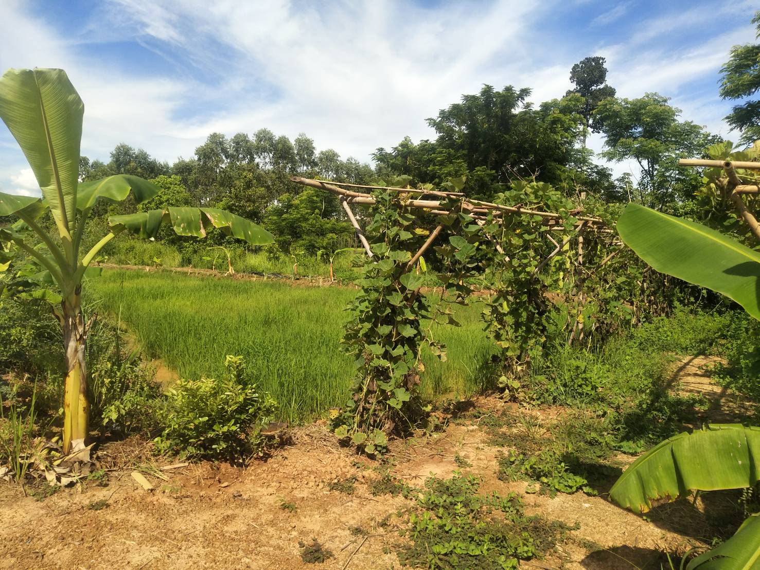 พช.หนองคาย ติดตามความก้าวหน้าการเตรียมความพร้อมจัดกิจกรรม “จิตอาสาพัฒนาชุมชนเอามื้อสามัคคี”