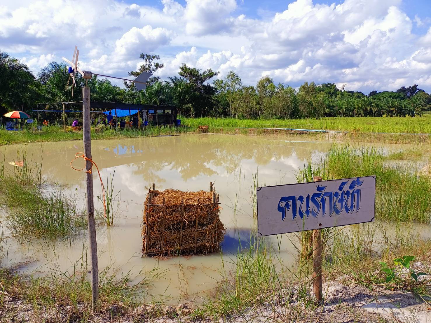 นายชัยวัฒน์ แสงศรี ผู้ตรวจราชการกรมการพัฒนาชุมชน เยี่ยมชมการดำเนินงานหมู่บ้านท่องเที่ยววิถีไทพวนโพธิ์ตาก และ การดำเนินงานโครงการพัฒนาพื้นที่ต้นแบบการพัฒนาคุณภาพชีวิตตามหลักทฤษฎีใหม่ ประยุกต์สู่ “โคก หนอง นา โมเดล” ในพื้นที่อำเภอโพธิ์ตาก จังหวัดหนองคาย