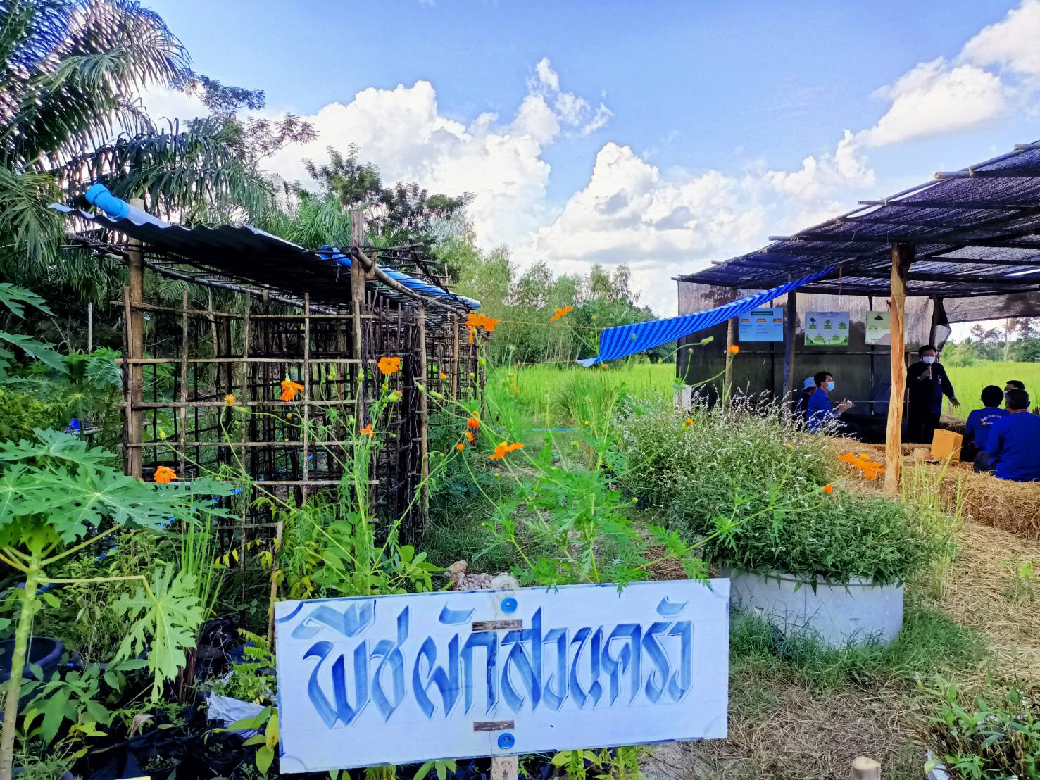 นายชัยวัฒน์ แสงศรี ผู้ตรวจราชการกรมการพัฒนาชุมชน เยี่ยมชมการดำเนินงานหมู่บ้านท่องเที่ยววิถีไทพวนโพธิ์ตาก และ การดำเนินงานโครงการพัฒนาพื้นที่ต้นแบบการพัฒนาคุณภาพชีวิตตามหลักทฤษฎีใหม่ ประยุกต์สู่ “โคก หนอง นา โมเดล” ในพื้นที่อำเภอโพธิ์ตาก จังหวัดหนองคาย