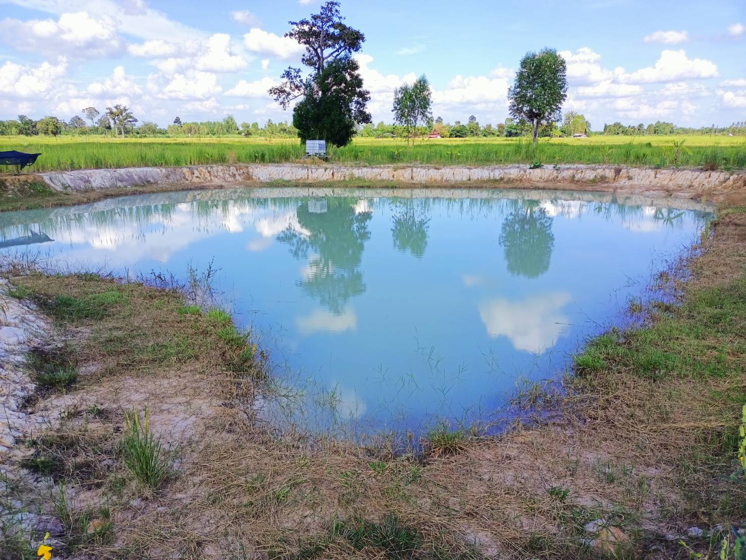 นายชัยวัฒน์ แสงศรี ผู้ตรวจราชการกรมการพัฒนาชุมชน เยี่ยมชมการดำเนินงานหมู่บ้านท่องเที่ยววิถีไทพวนโพธิ์ตาก และ การดำเนินงานโครงการพัฒนาพื้นที่ต้นแบบการพัฒนาคุณภาพชีวิตตามหลักทฤษฎีใหม่ ประยุกต์สู่ “โคก หนอง นา โมเดล” ในพื้นที่อำเภอโพธิ์ตาก จังหวัดหนองคาย