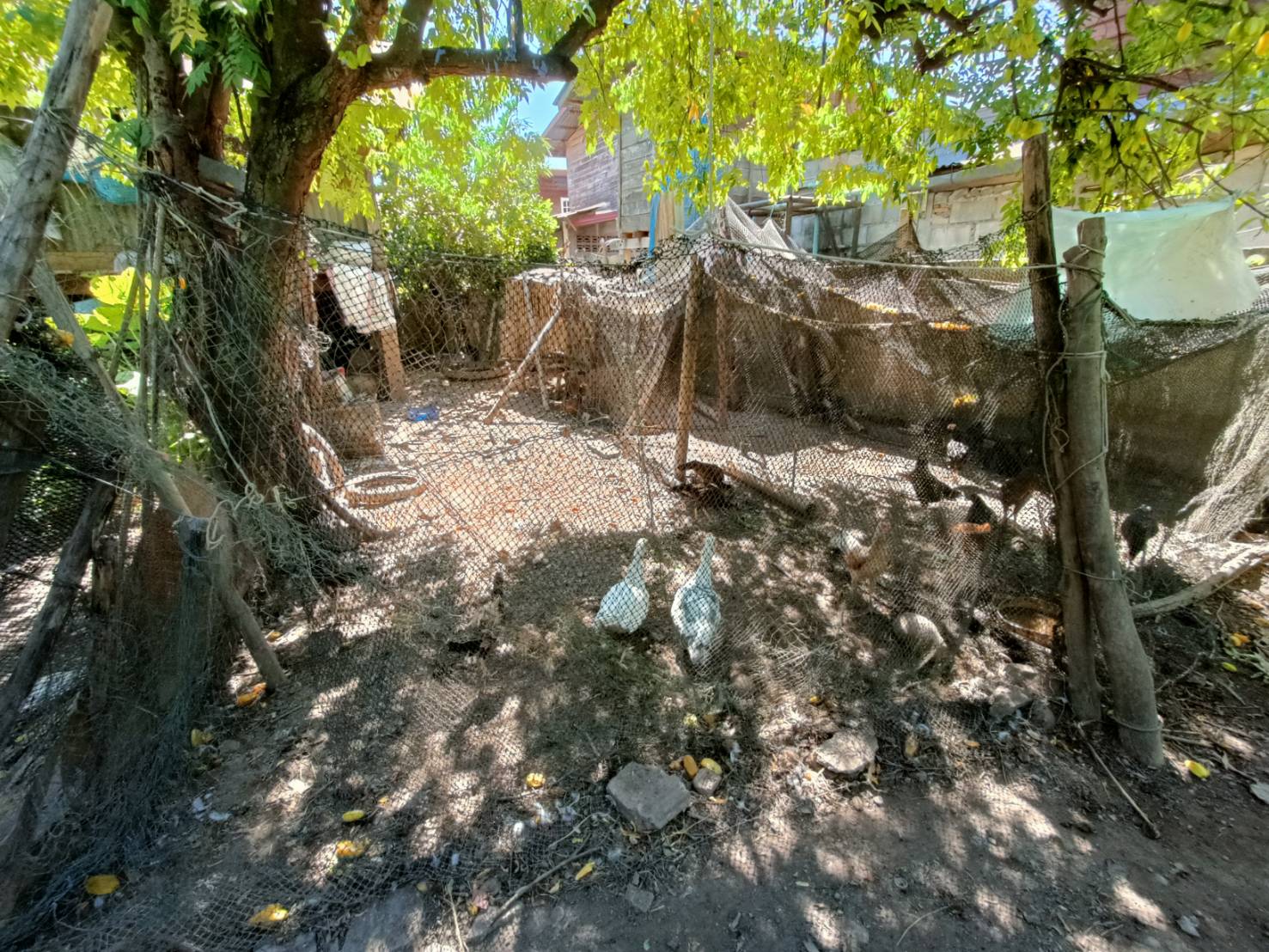 พช.หนองคาย ลงพื้นที่ติดตามการดำเนินกิจกรรมการพัฒนาคุณภาพชีวิตครัวเรือนยากจนและผู้ด้อยโอกาสและผู้ที่ได้รับผลกระทบจากสถาณการณ์การแพร่ระบาดของโรคติดเชื้อไวรัสโคโรน่า 2019 ตามโครงการส่งเสริมการพัฒนาคุณภาพชีวิตครัวเรือนยากจนและผู้ด้อยโอกาส สู่วิถีพอเพียง