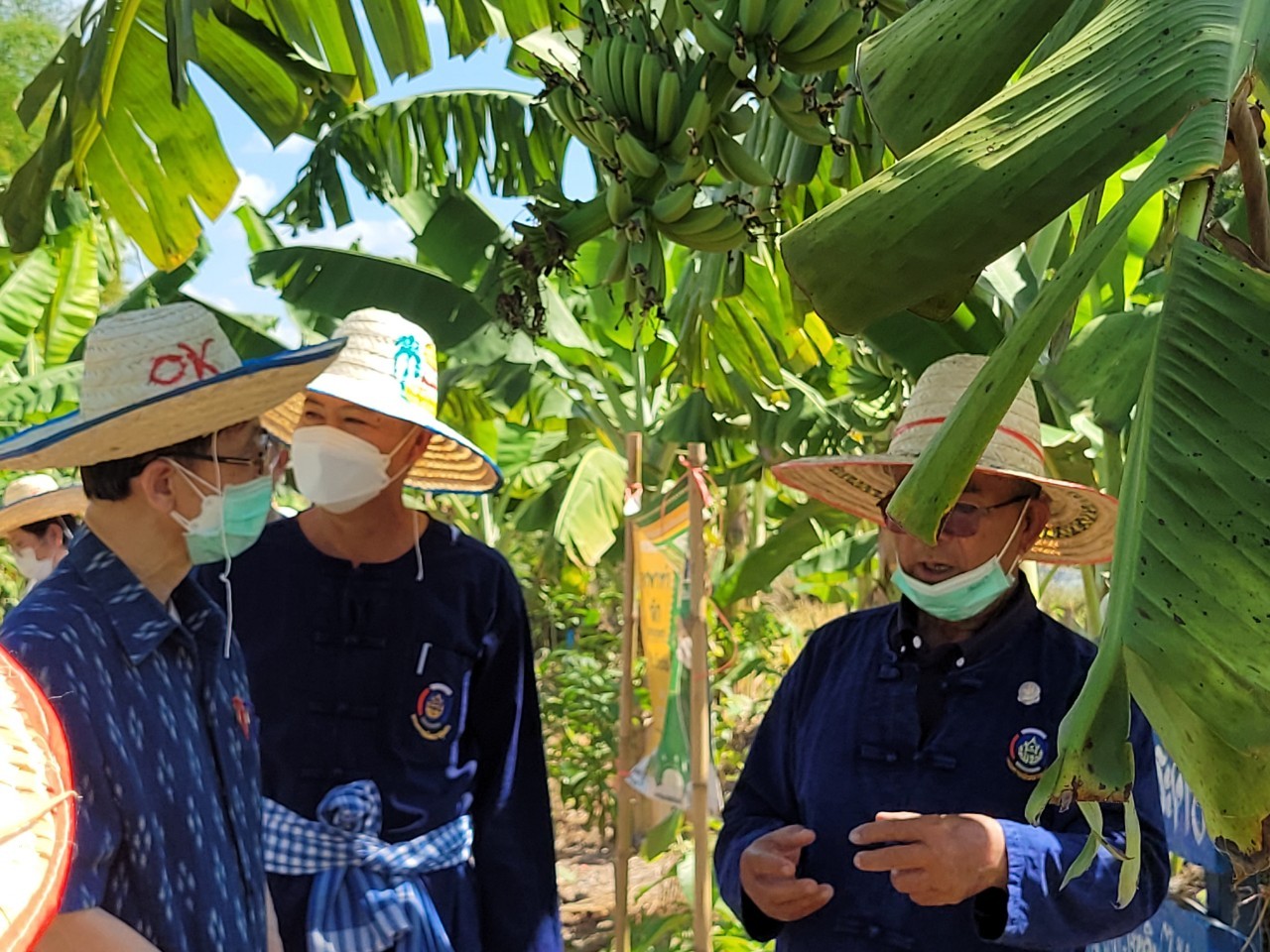 จังหวัดหนองคาย ต้อนรับคณะอนุกรรมการติดตามโครงการภายใต้แผนงานสร้างความเข้มแข็งแก่เศรษฐกิจฐานราก ครั้งที่ 4 ภาคตะวันออกเฉียงเหนือ