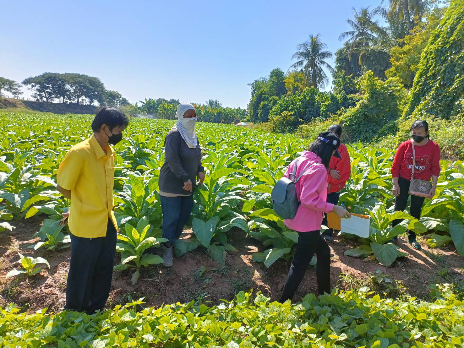คณะอนุกรรมการบริหารกองทุนพัฒนาบทบาทสตรีจังหวัดหนองคาย ลงพื้นที่ติดตามประเมินและกลั่นกรองโครงการของสมาชิกกองทุนพัฒนาบทบาทสตรี ที่ยื่นขอกู้ยืมทุนหมุนเวียน อ.ท่าบ่อ