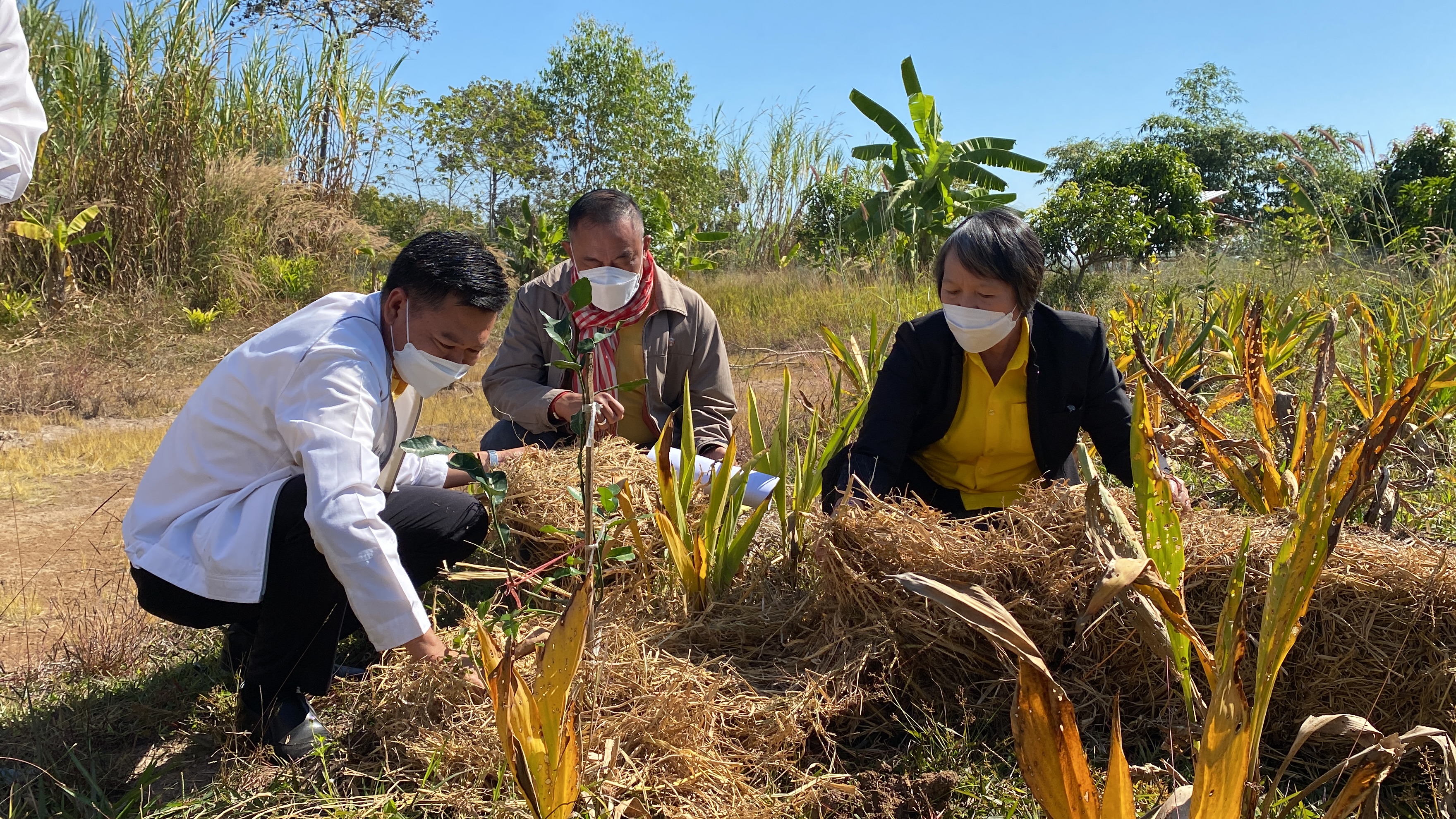 พช.หนองคาย จัดกิจกรรมวันดินโลก 2564