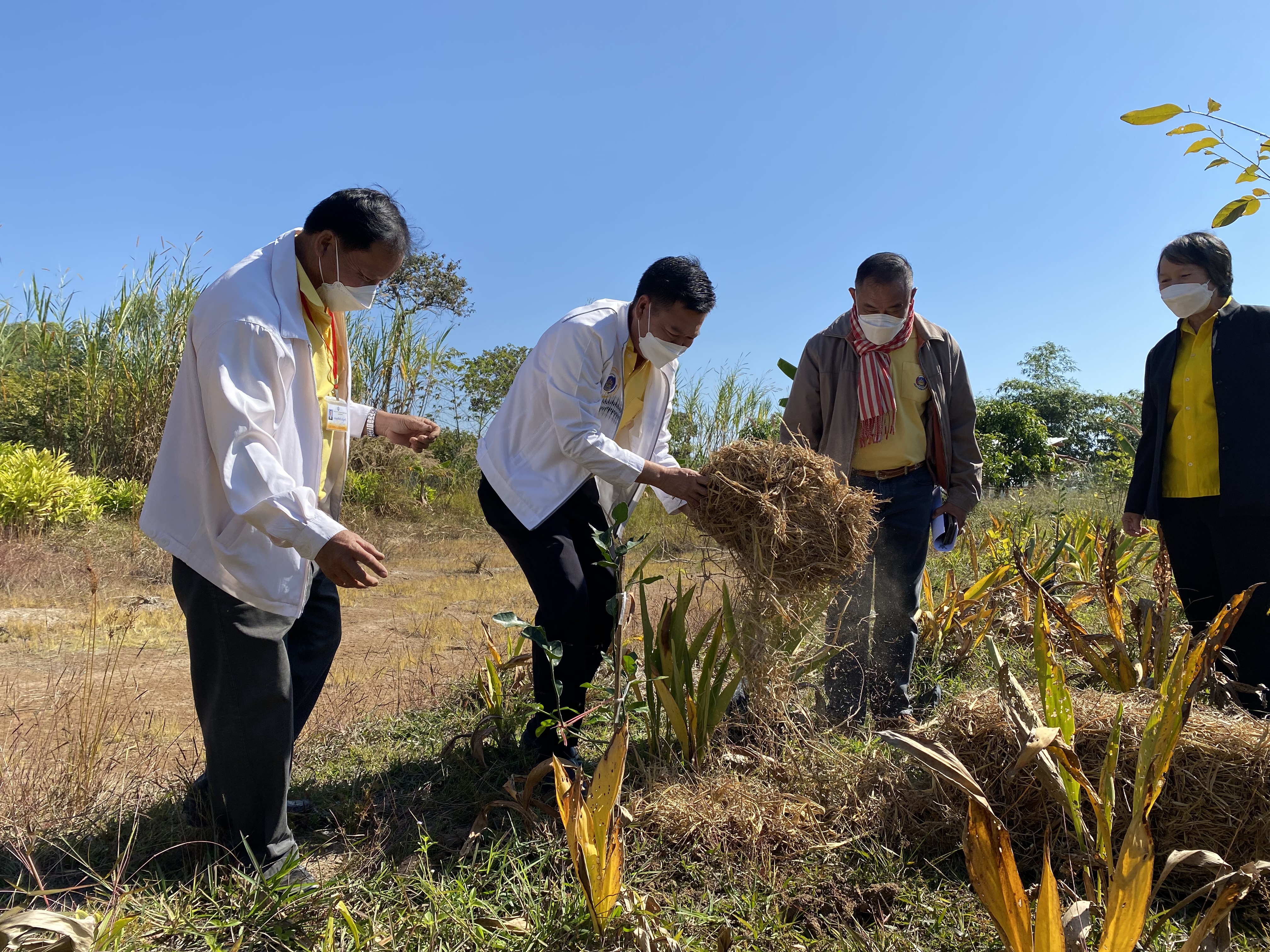 พช.หนองคาย จัดกิจกรรมวันดินโลก 2564