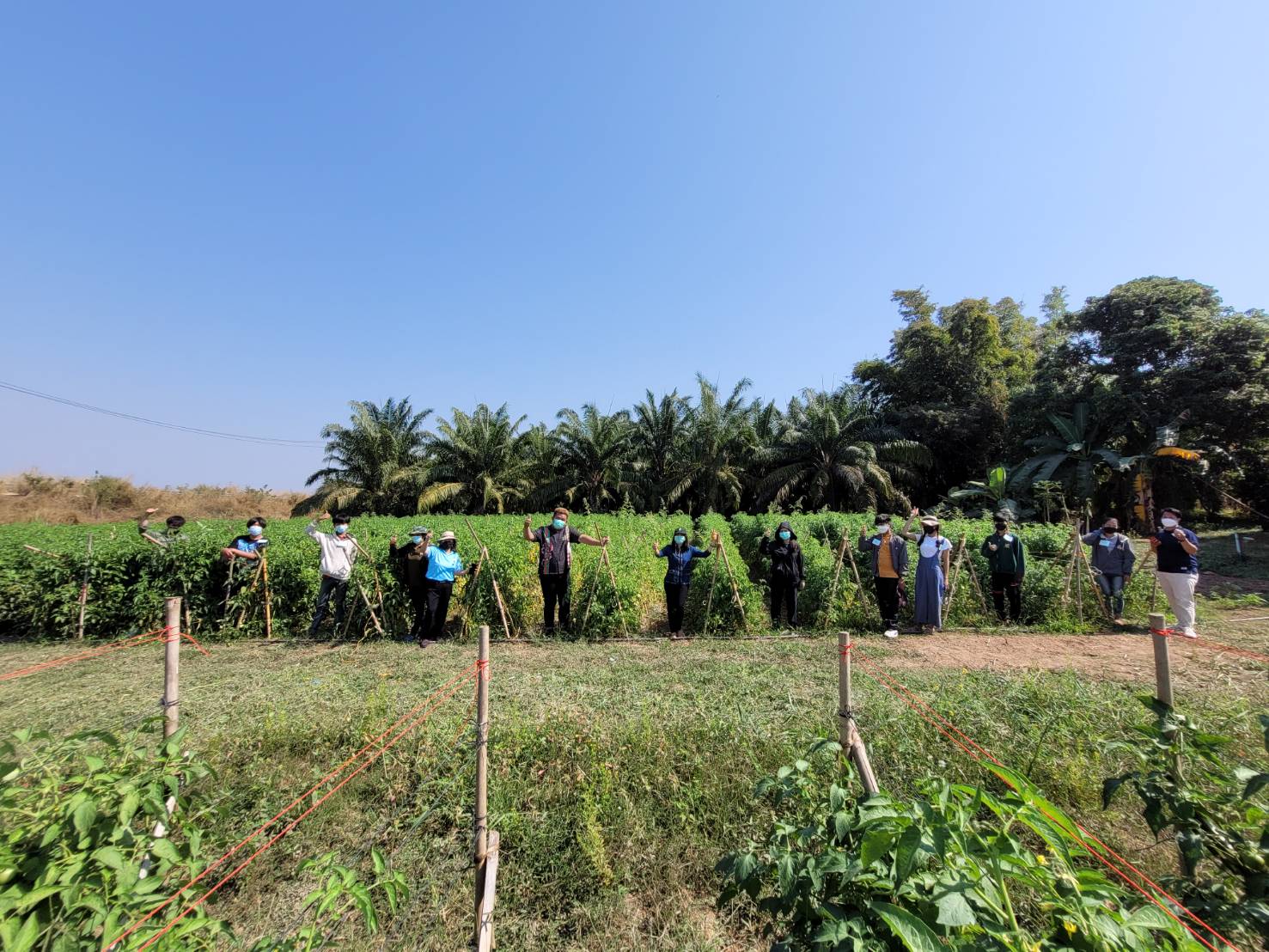 พช.หนองคาย ดำเนินโครงการส่งเสริมและพัฒนาหมู่บ้านกองทุนแม่ของแผ่นดิน กิจกรรม สนับสนุนกิจกรรมศูนย์เรียนรู้ต้นแบบหนุนเสริมสัมมาชีพชุมชนแก่เยาวชนกลุ่มเสี่ยงและผู้ผ่านการบำบัด